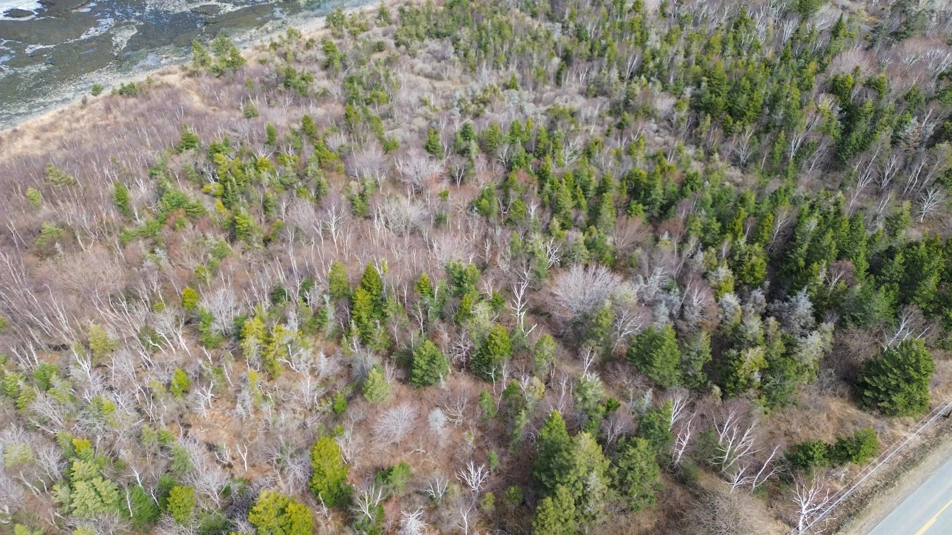 Shore Road W, Parkers Cove Ns B0s 1l0, ,Land,For Sale,Shore,202508510