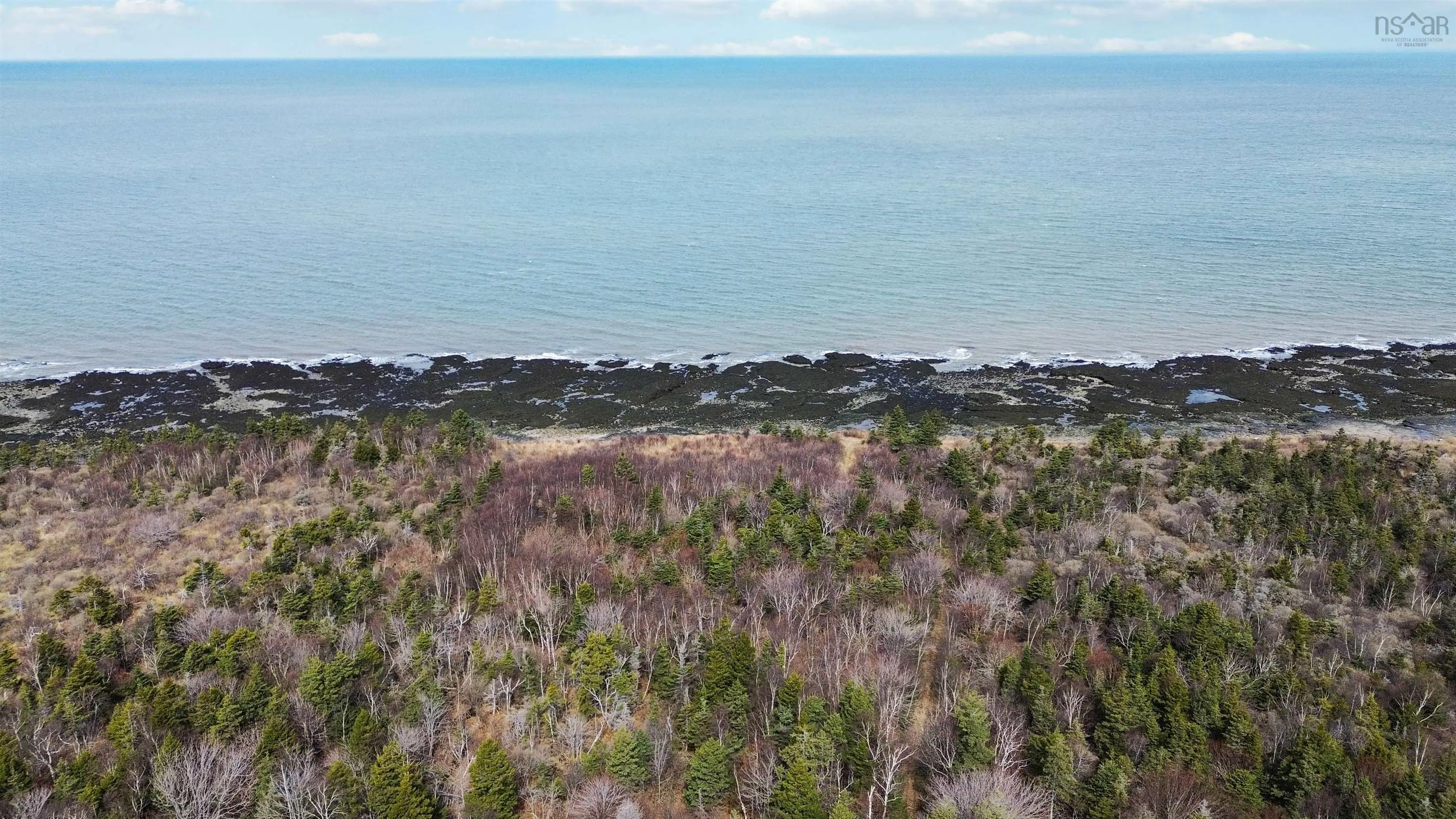 Shore Road W, Parkers Cove Ns B0s 1l0, ,Land,For Sale,Shore,202508510