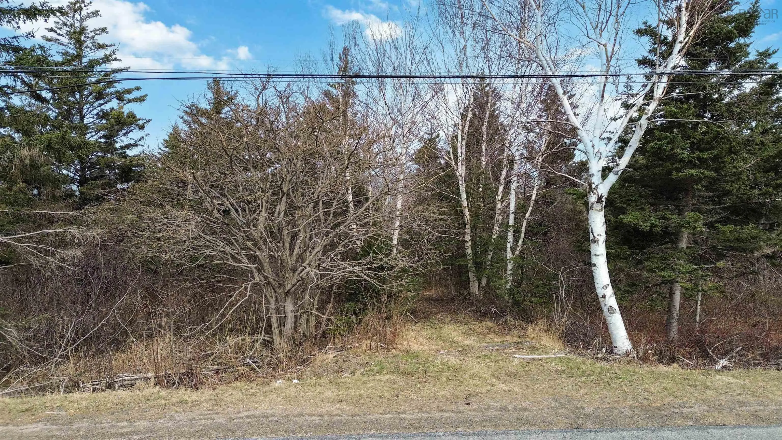 Shore Road W, Parkers Cove Ns B0s 1l0, ,Land,For Sale,Shore,202508510