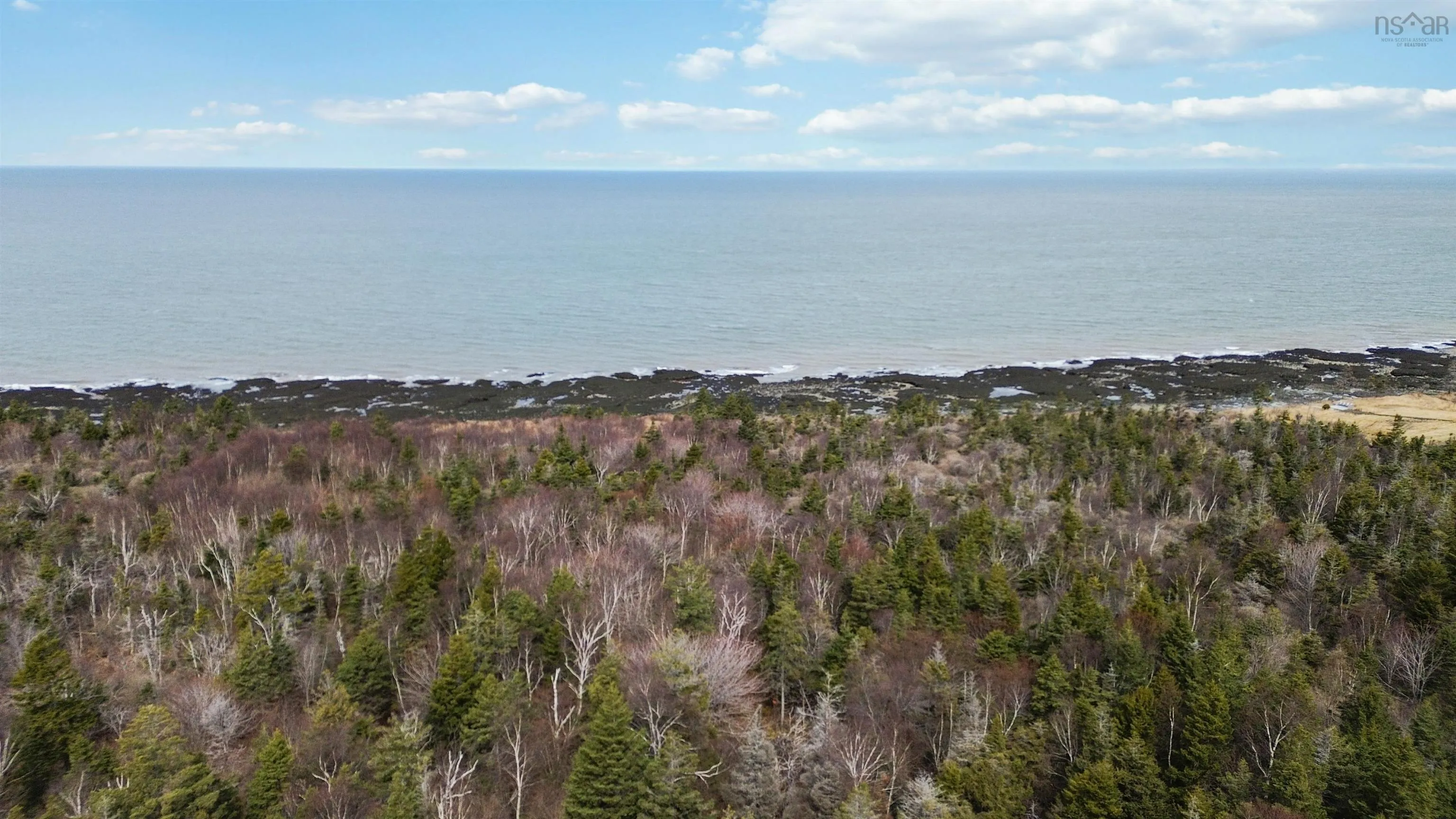Shore Road W, Parkers Cove Ns B0s 1l0, ,Land,For Sale,Shore,202508510