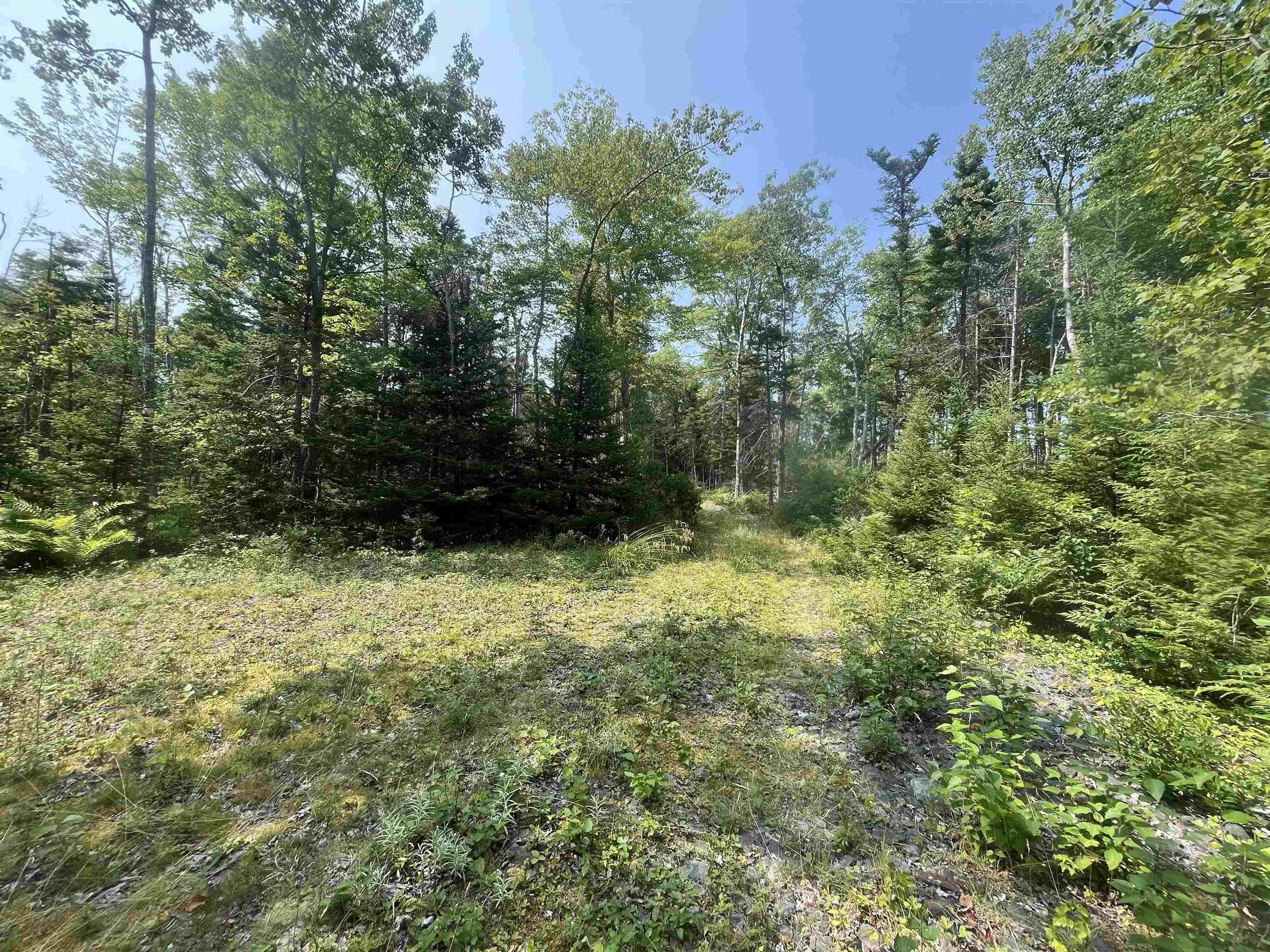 West Bay Highway Lot 16, Roberta, NS B0E 3K0, ,Land,For Sale,West Bay,202519958