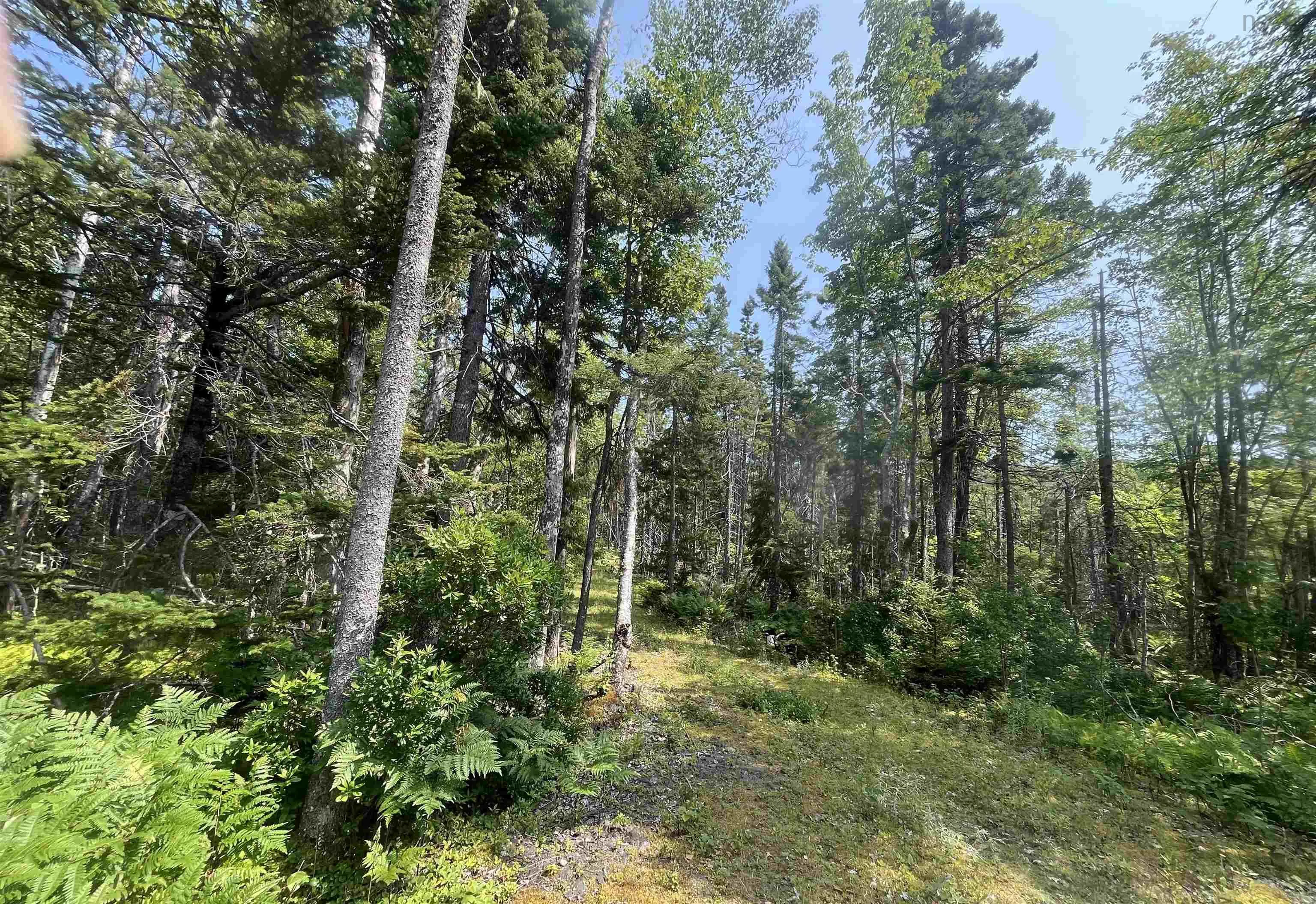 West Bay Highway Lot 16, Roberta, NS B0E 3K0, ,Land,For Sale,West Bay,202519958