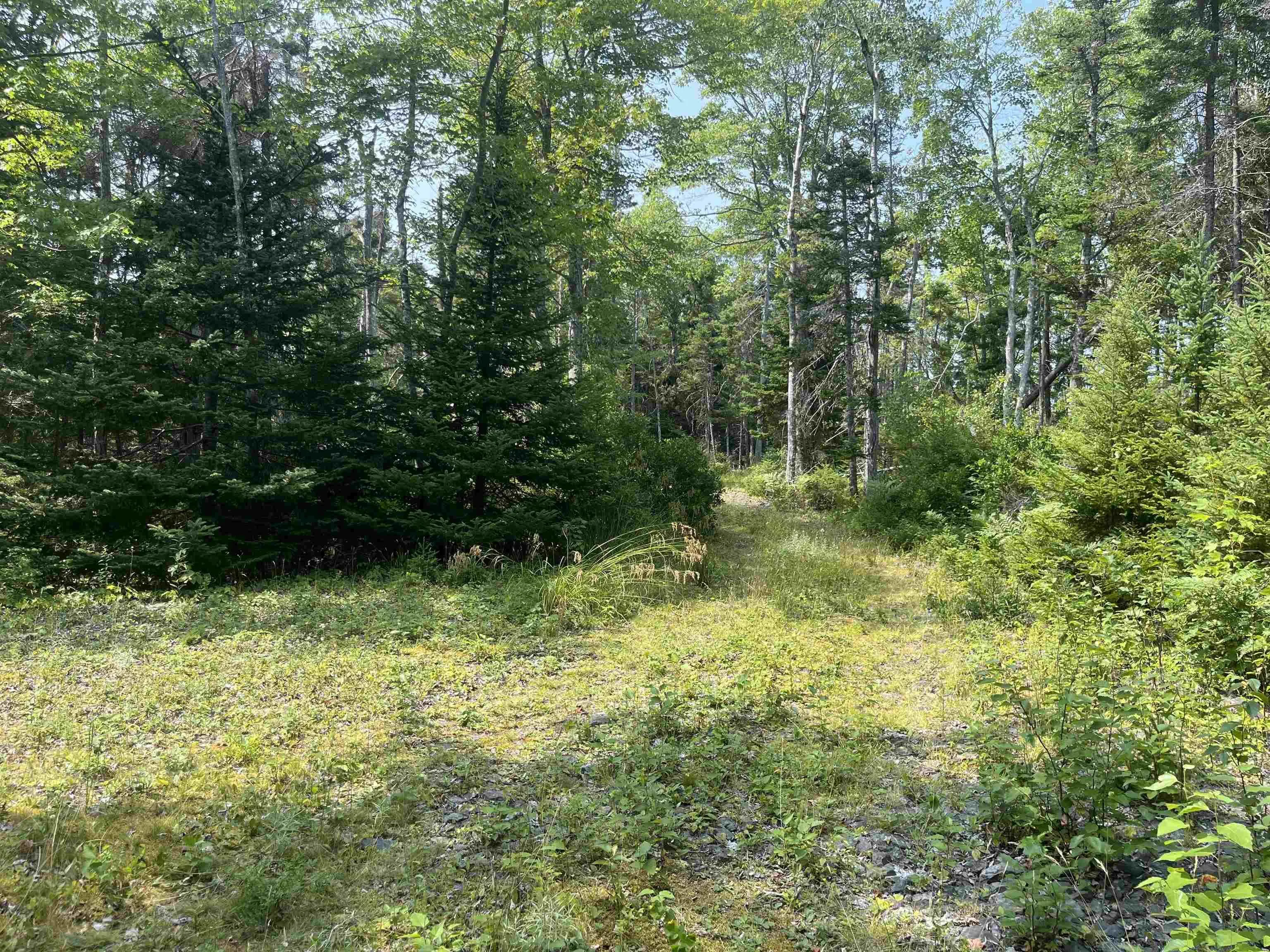 West Bay Highway Lot 16, Roberta, NS B0E 3K0, ,Land,For Sale,West Bay,202519958