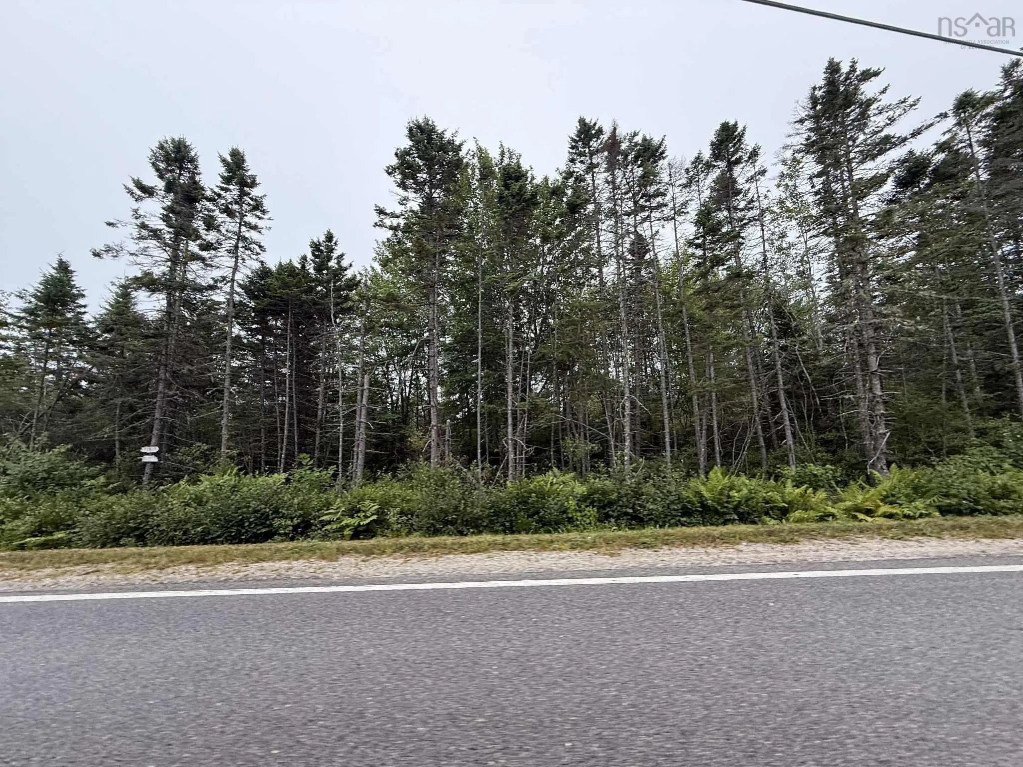Highway 3, Tusket, NS B0W 3M0, ,Land,For Sale,Highway 3,202521626