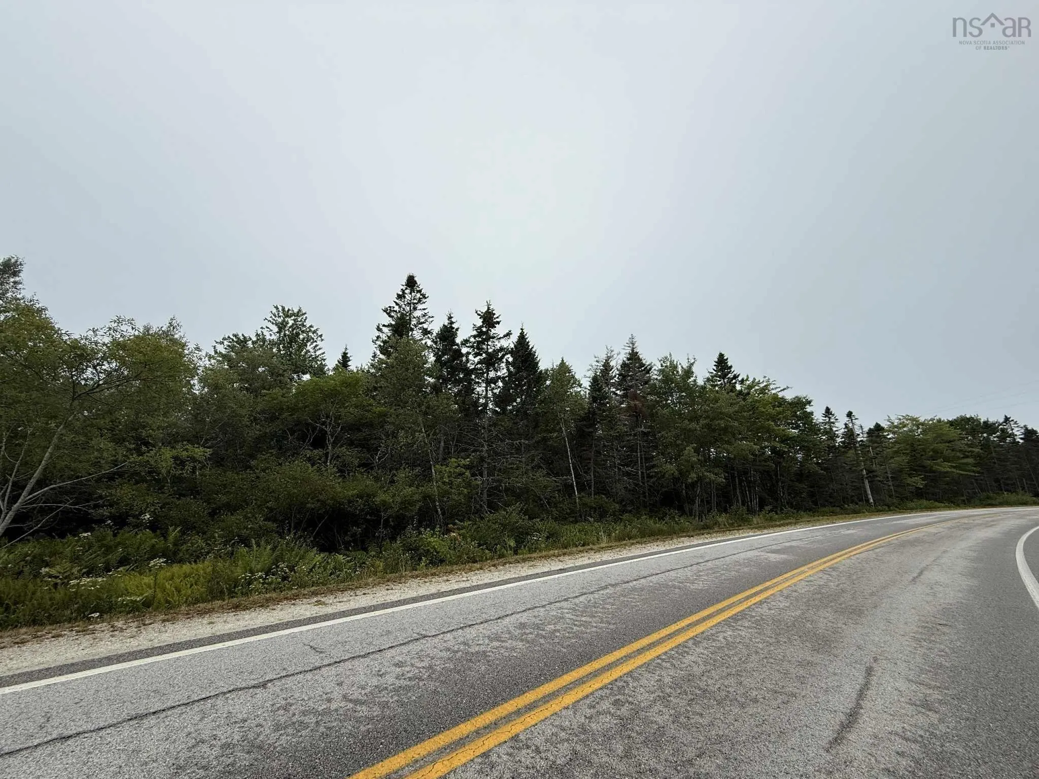 Highway 3, Tusket, NS B0W 3M0, ,Land,For Sale,Highway 3,202521626