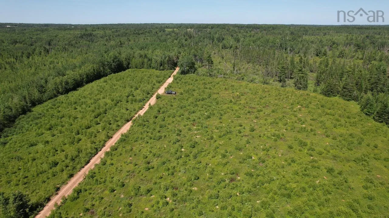 Hunter Road, Wentworth, NS B0M 1Z0, ,Land,For Sale,Hunter,202517457