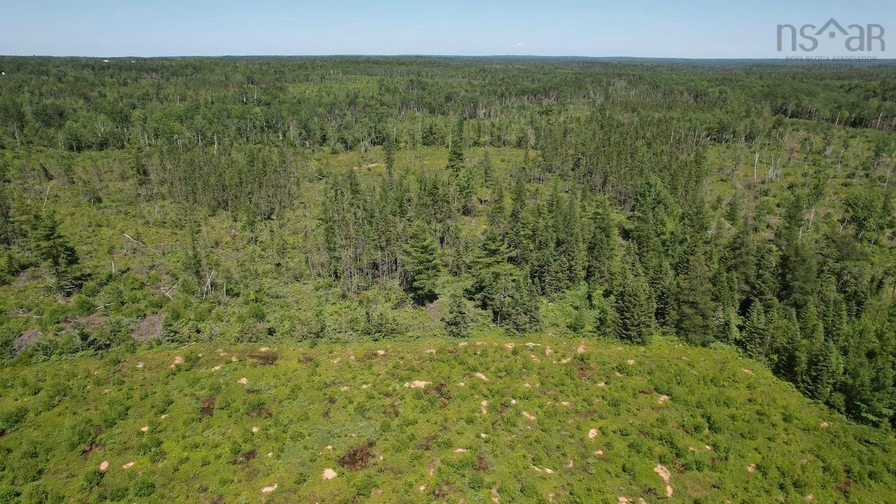 Hunter Road, Wentworth, NS B0M 1Z0, ,Land,For Sale,Hunter,202517457