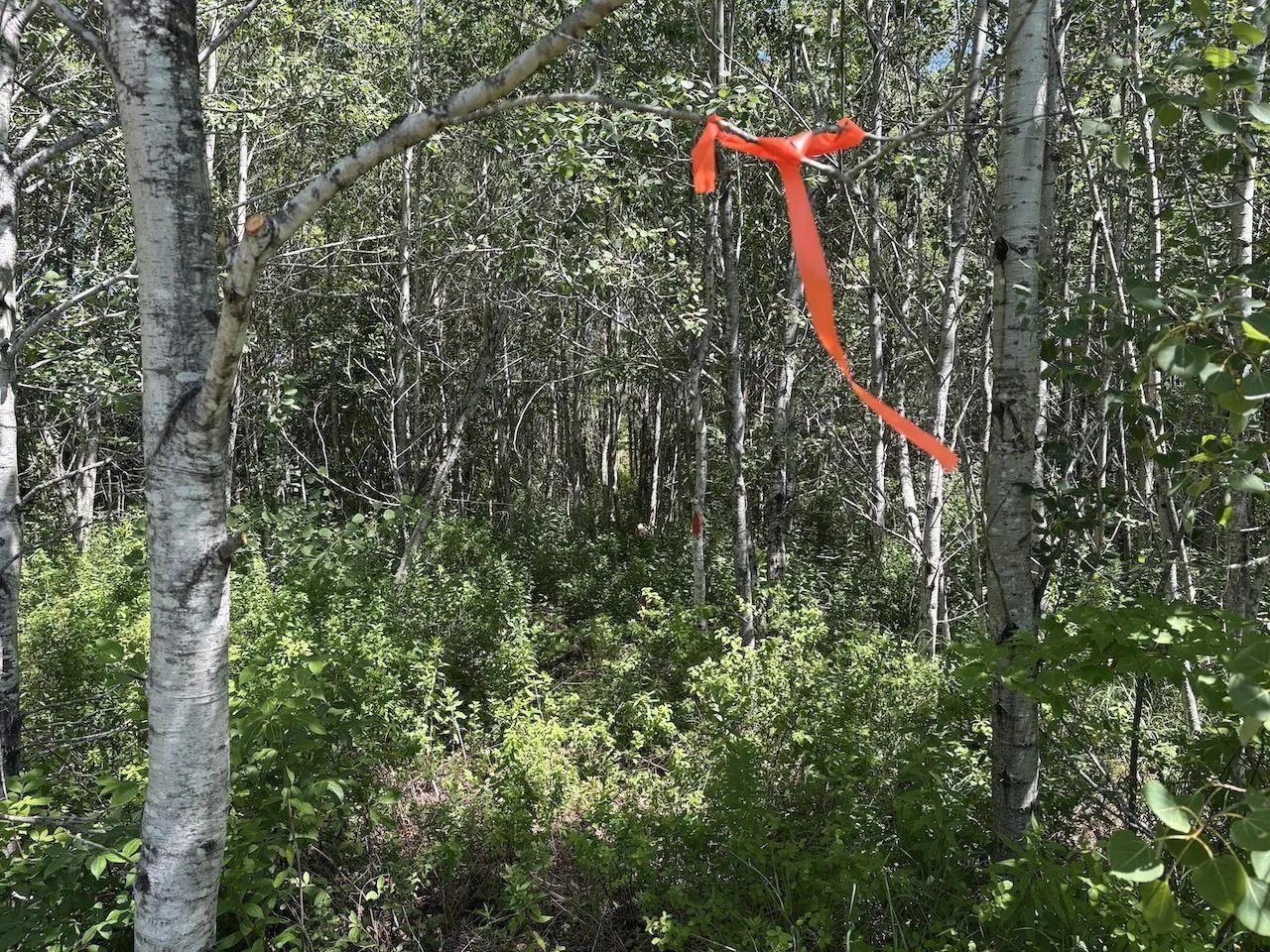 Hunter Road, Wentworth, NS B0M 1Z0, ,Land,For Sale,Hunter,202517457