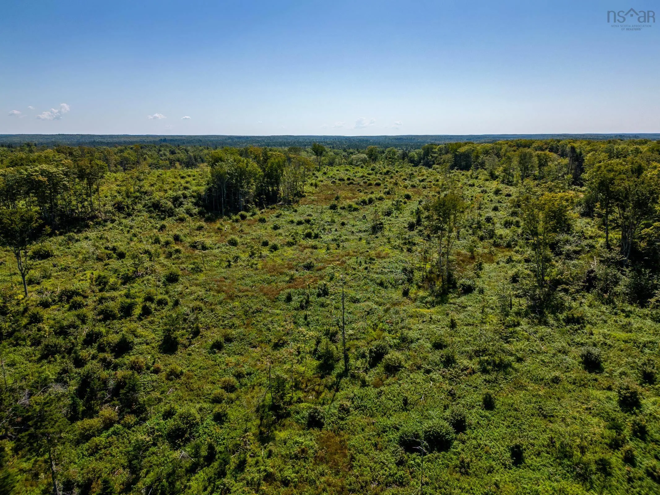 Bonnie Road, Meteghan Ns B0w 2j0, ,Land,For Sale,Bonnie,202317961