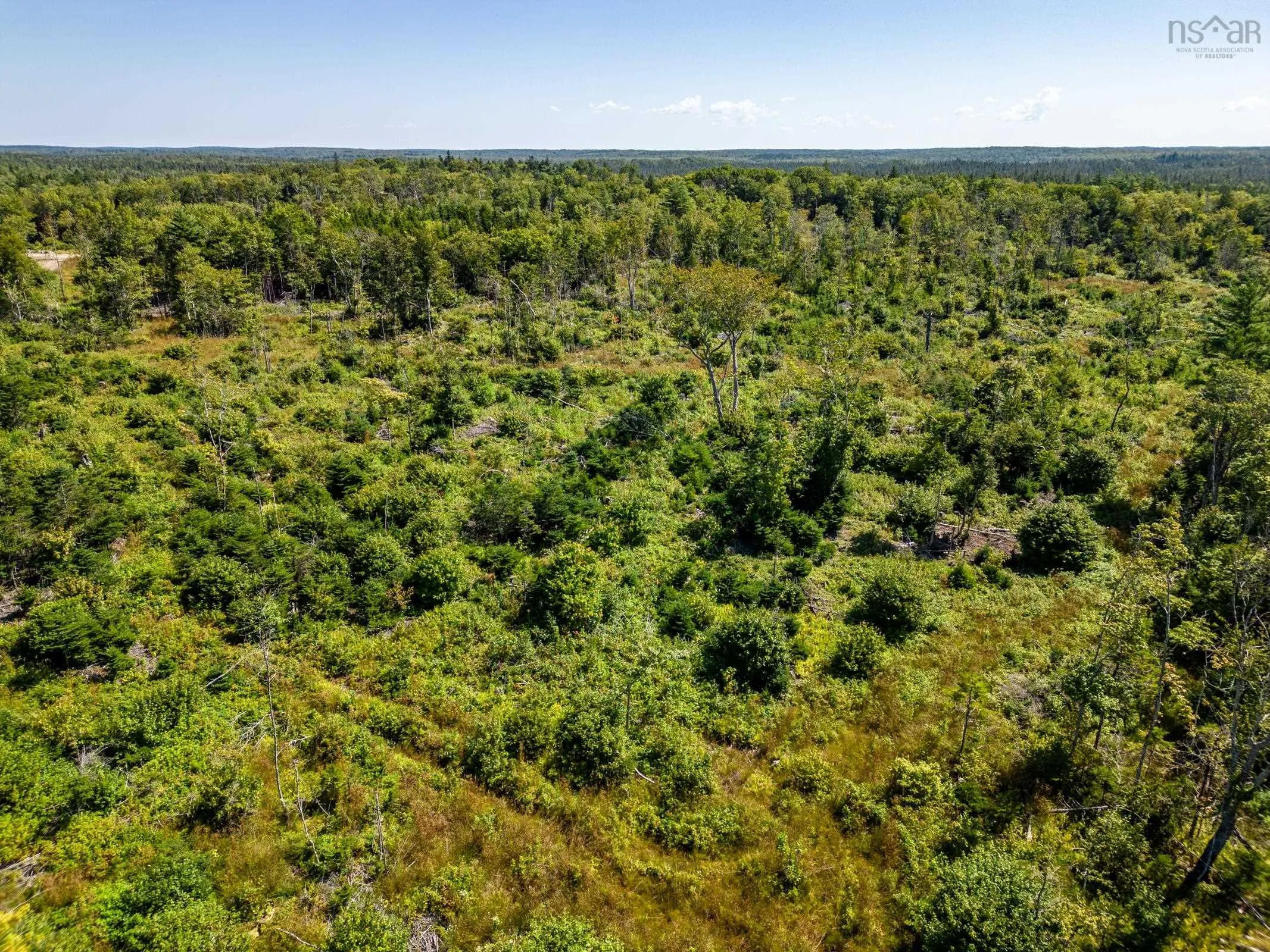 Bonnie Road, Meteghan Ns B0w 2j0, ,Land,For Sale,Bonnie,202317961