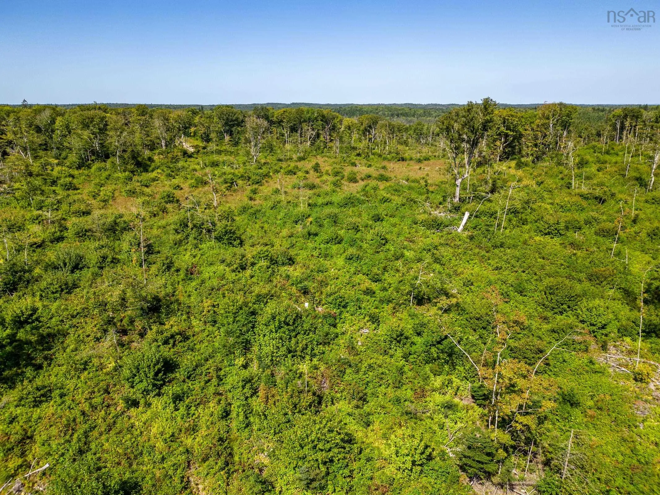 Bonnie Road, Meteghan Ns B0w 2j0, ,Land,For Sale,Bonnie,202317961