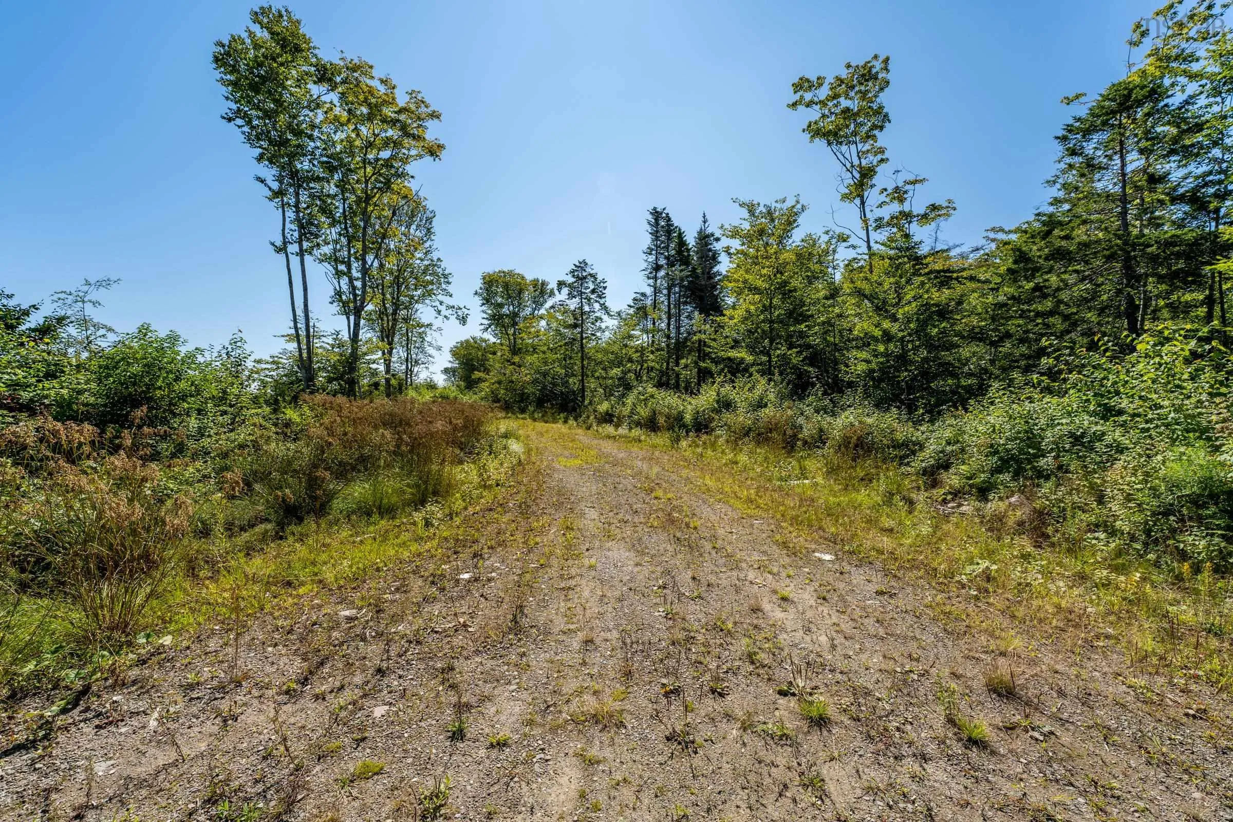 Bonnie Road, Meteghan Ns B0w 2j0, ,Land,For Sale,Bonnie,202317961