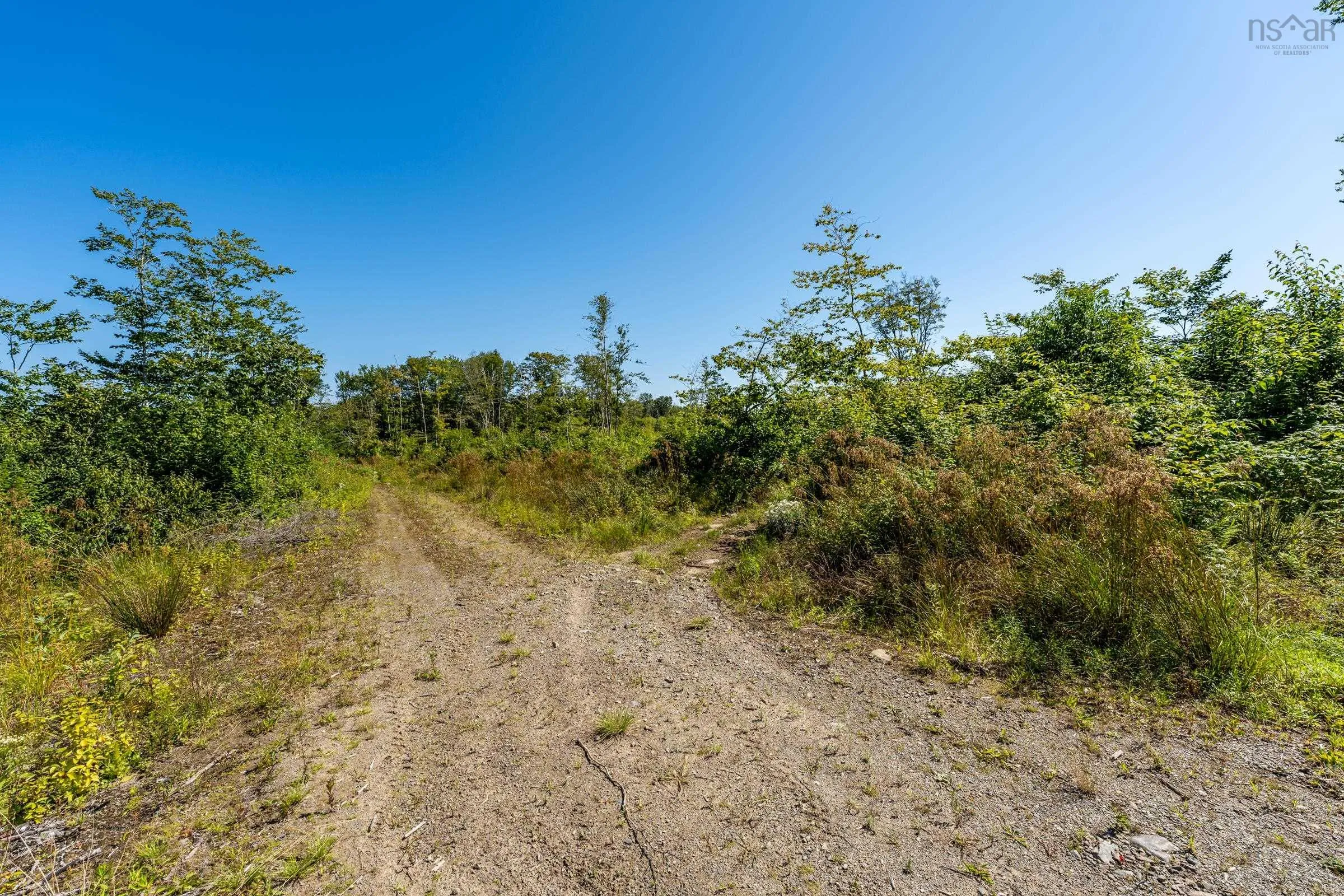 Bonnie Road, Meteghan Ns B0w 2j0, ,Land,For Sale,Bonnie,202317961