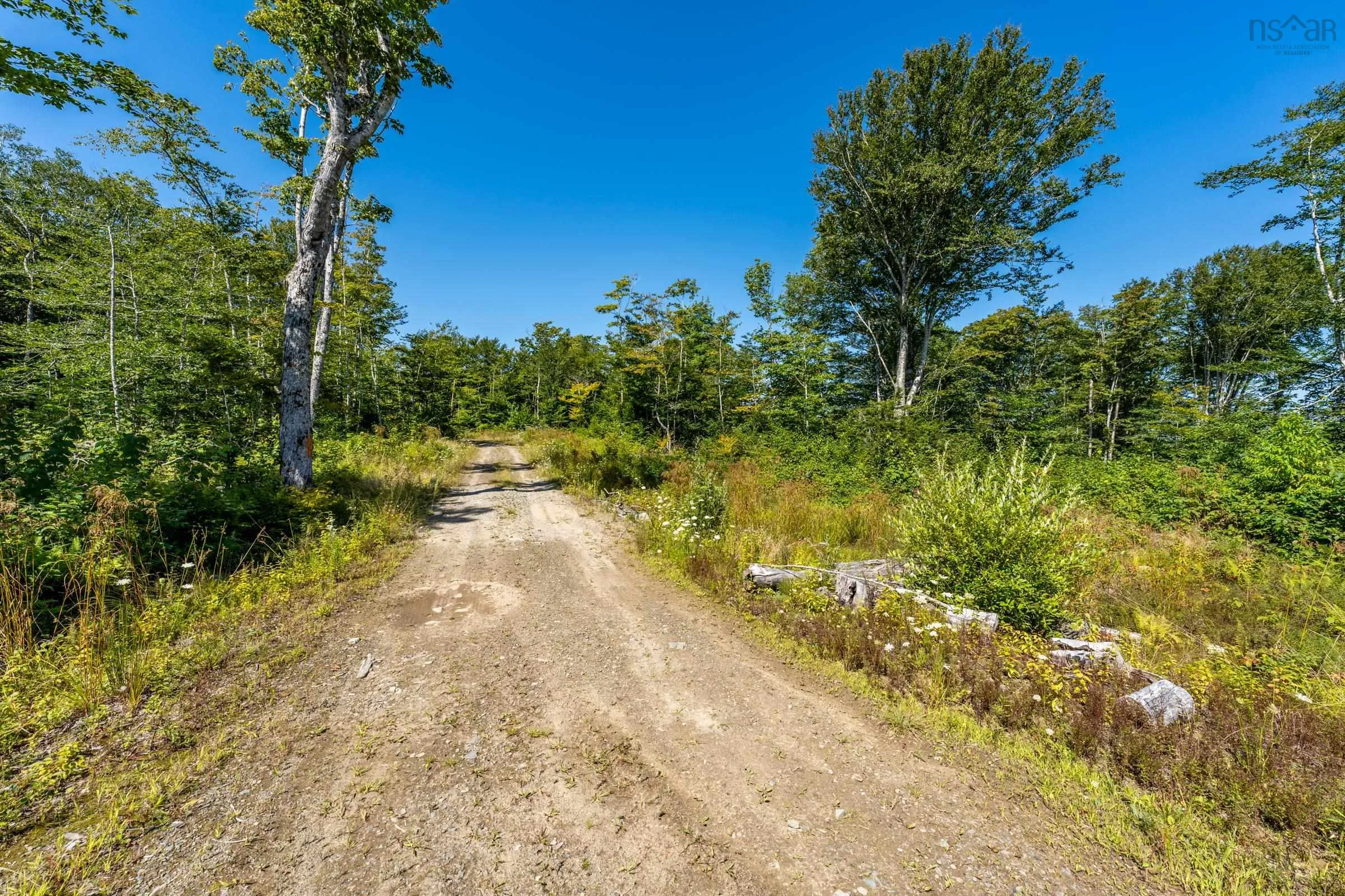 Bonnie Road, Meteghan Ns B0w 2j0, ,Land,For Sale,Bonnie,202317961