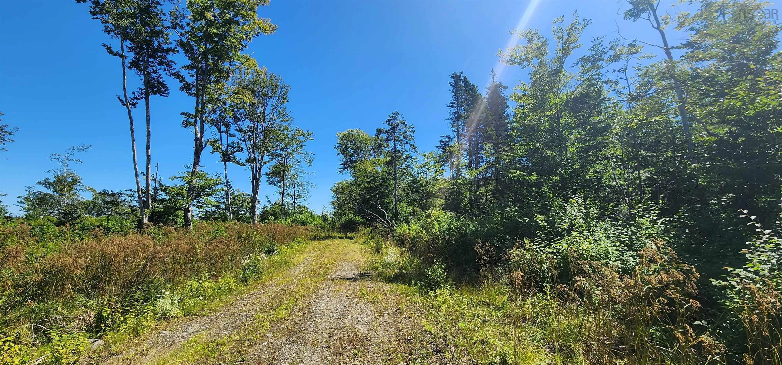Bonnie Road, Meteghan Ns B0w 2j0, ,Land,For Sale,Bonnie,202317961