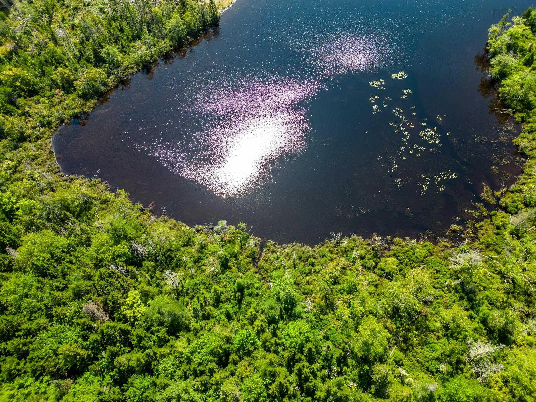 Bonnie Road, Meteghan Ns B0w 2j0, ,Land,For Sale,Bonnie,202317961