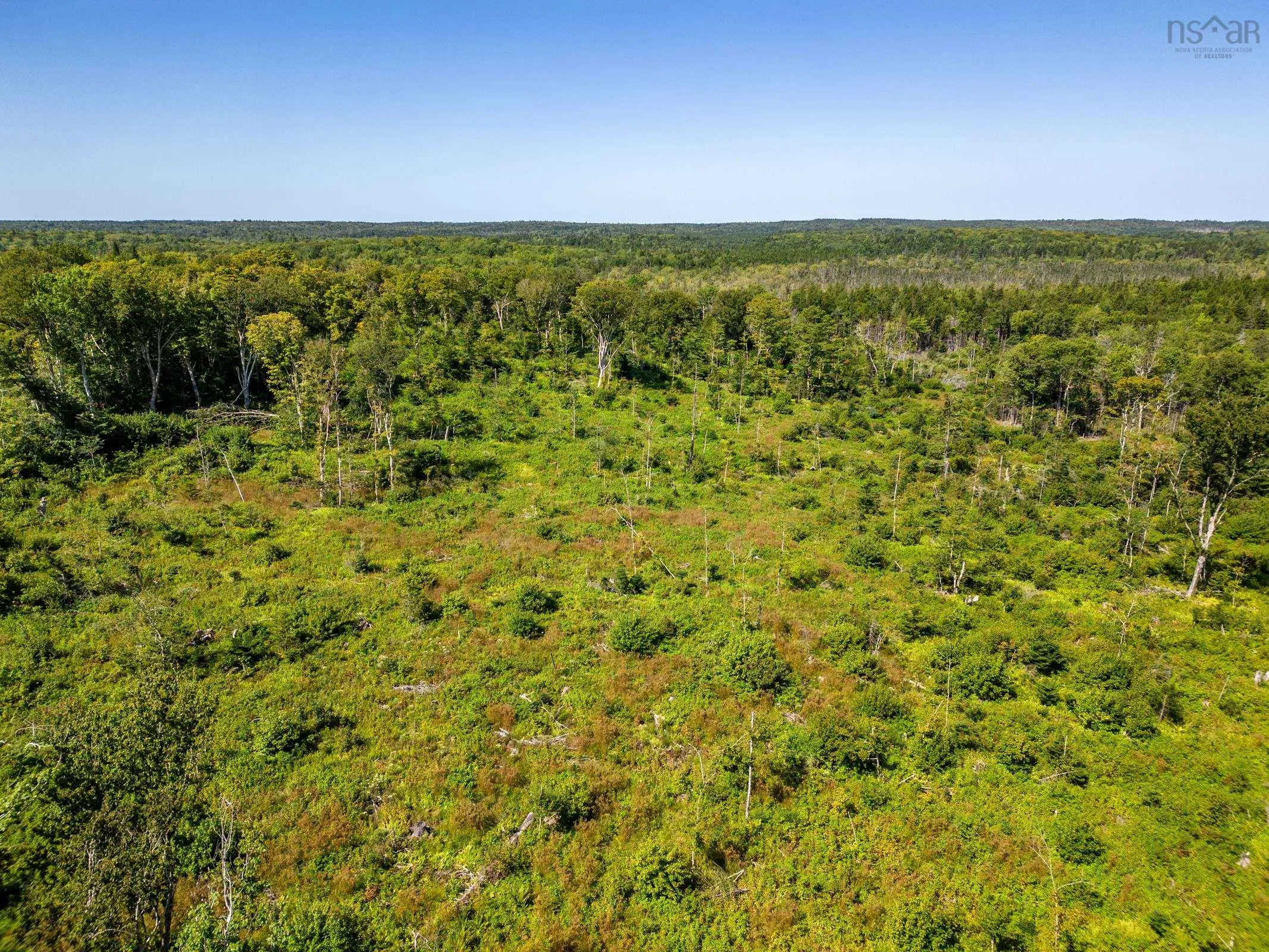 Bonnie Road, Meteghan Ns B0w 2j0, ,Land,For Sale,Bonnie,202317961
