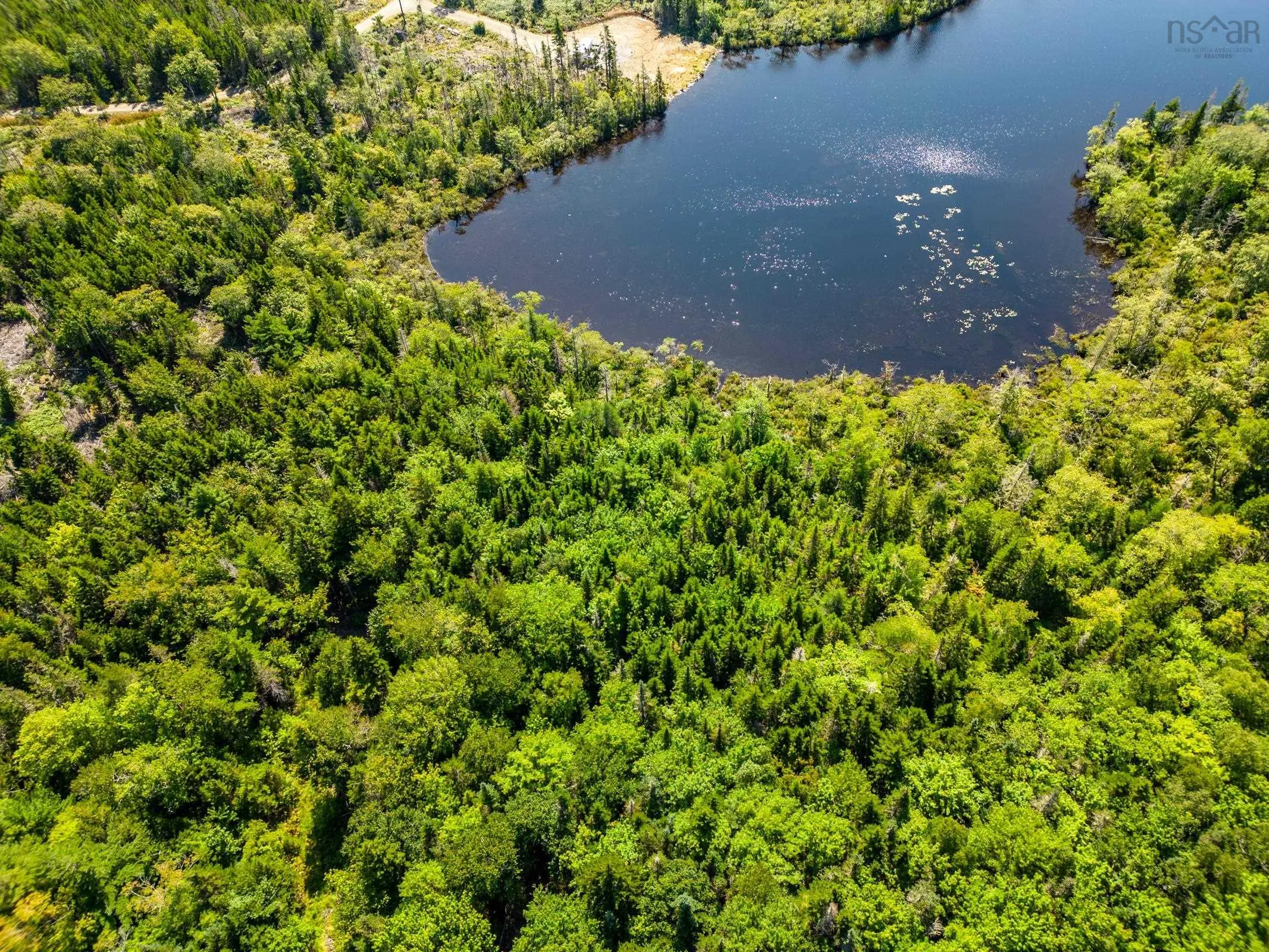Bonnie Road, Meteghan Ns B0w 2j0, ,Land,For Sale,Bonnie,202317961