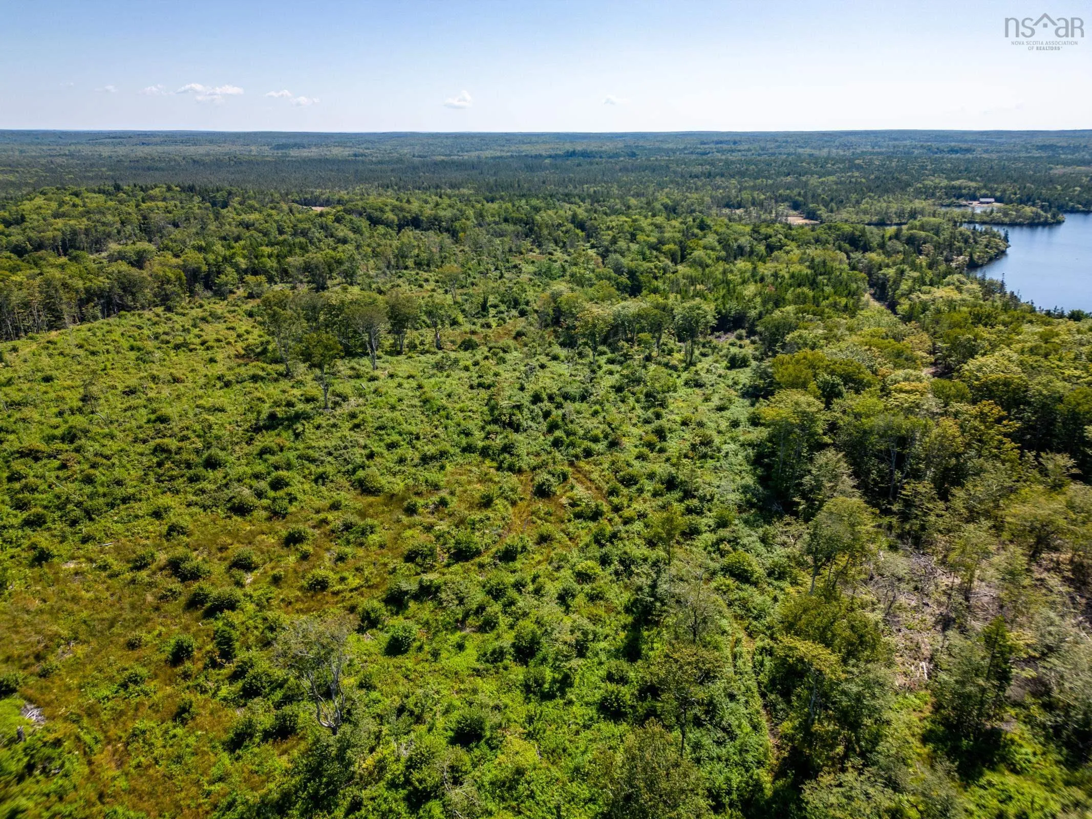 Bonnie Road, Meteghan Ns B0w 2j0, ,Land,For Sale,Bonnie,202317961