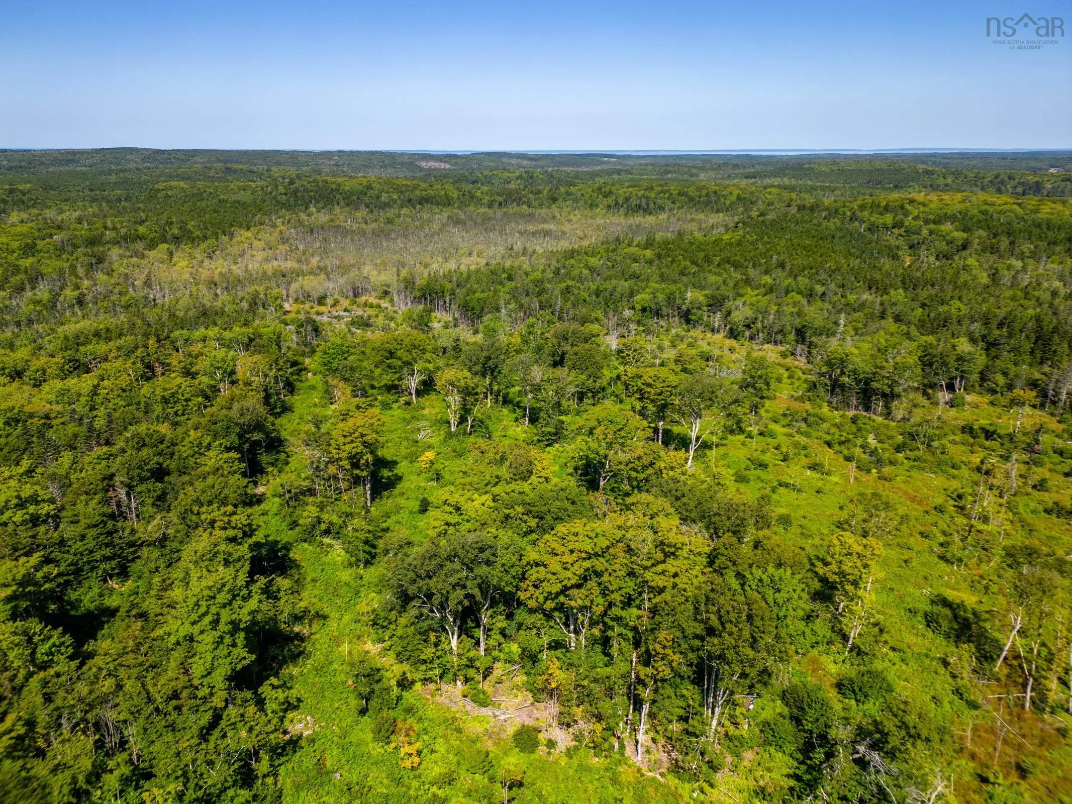 Bonnie Road, Meteghan Ns B0w 2j0, ,Land,For Sale,Bonnie,202317961