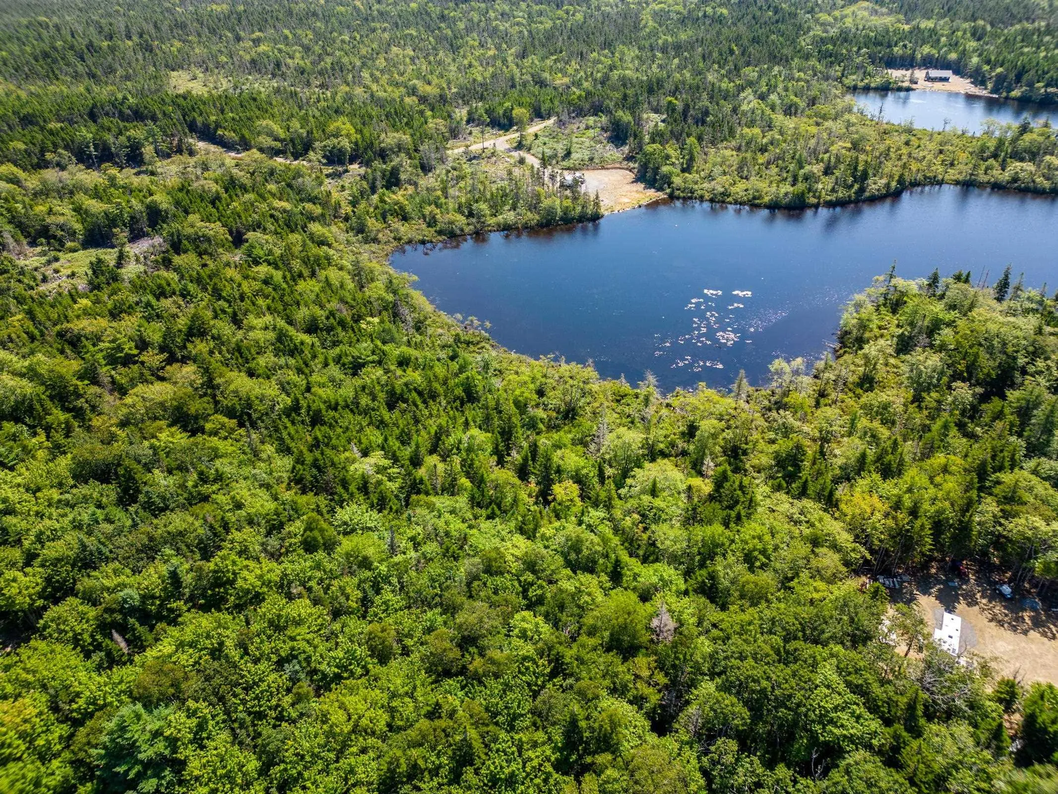Bonnie Road, Meteghan Ns B0w 2j0, ,Land,For Sale,Bonnie,202317961