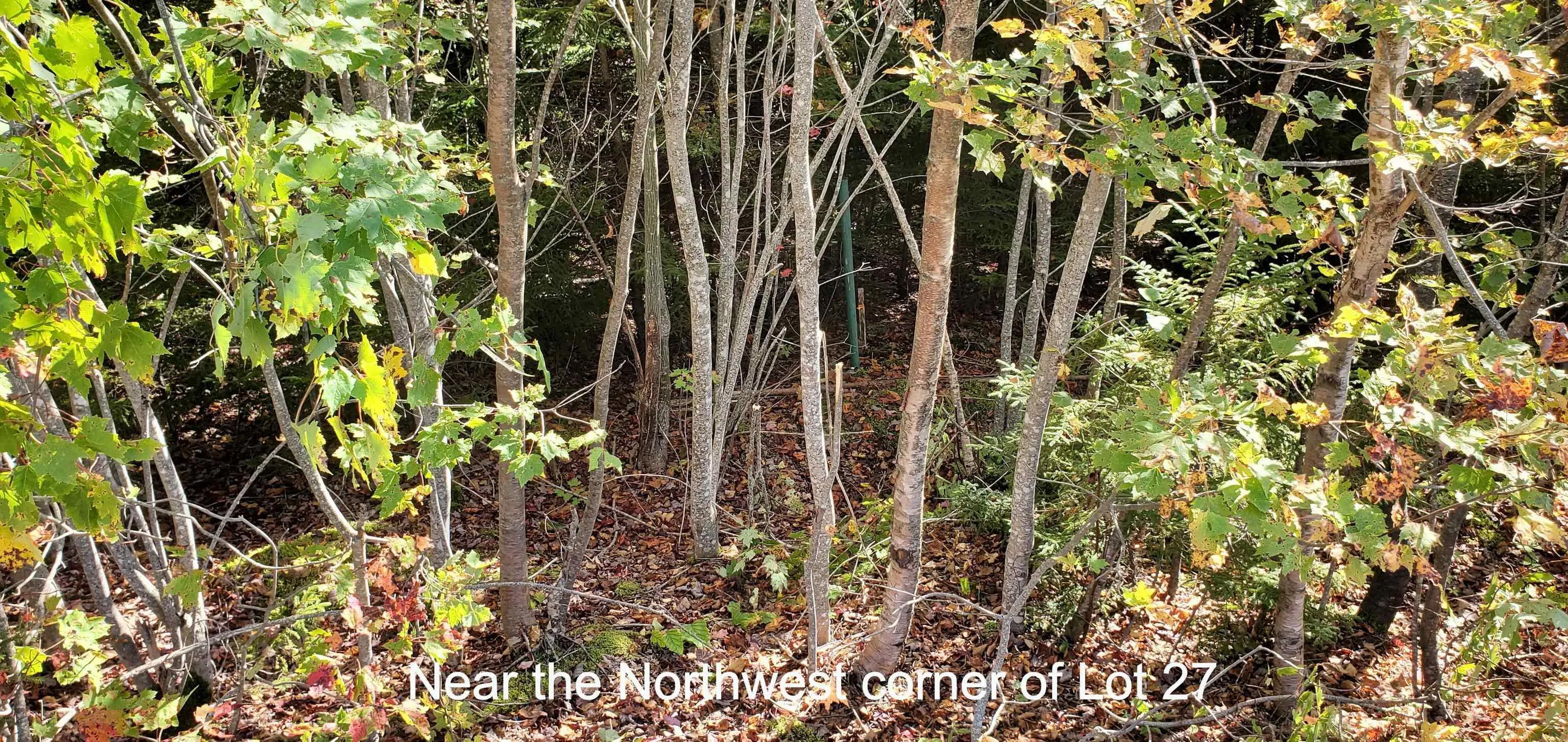 Lot 27 Spring Tide Lane, Two Islands Ns B0m 1s0, ,Land,For Sale,Spring Tide,202401174