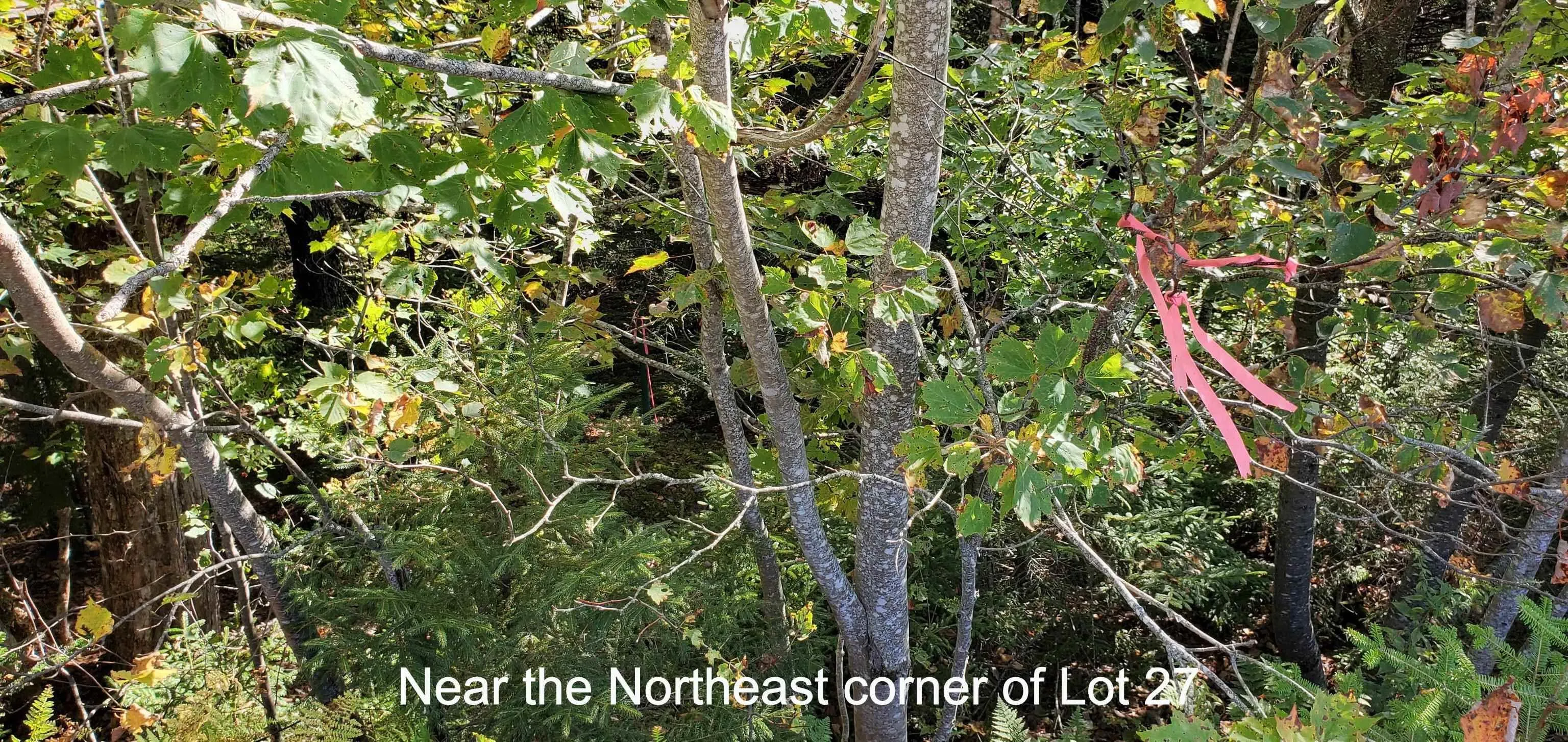 Lot 27 Spring Tide Lane, Two Islands Ns B0m 1s0, ,Land,For Sale,Spring Tide,202401174