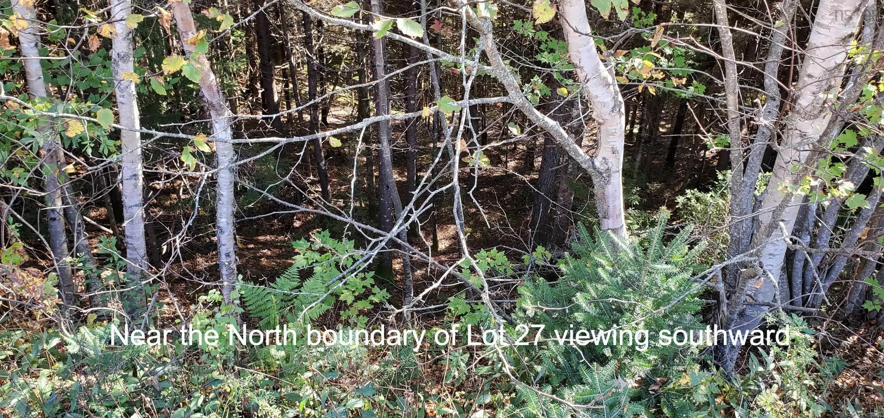 Lot 27 Spring Tide Lane, Two Islands Ns B0m 1s0, ,Land,For Sale,Spring Tide,202401174