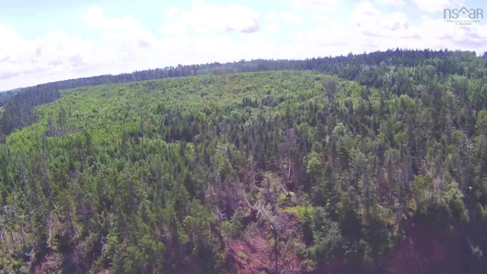 Lot A Hwy 215 Highway, Walton Ns B0n 2r0, ,Land,For Sale,Hwy 215,202317143
