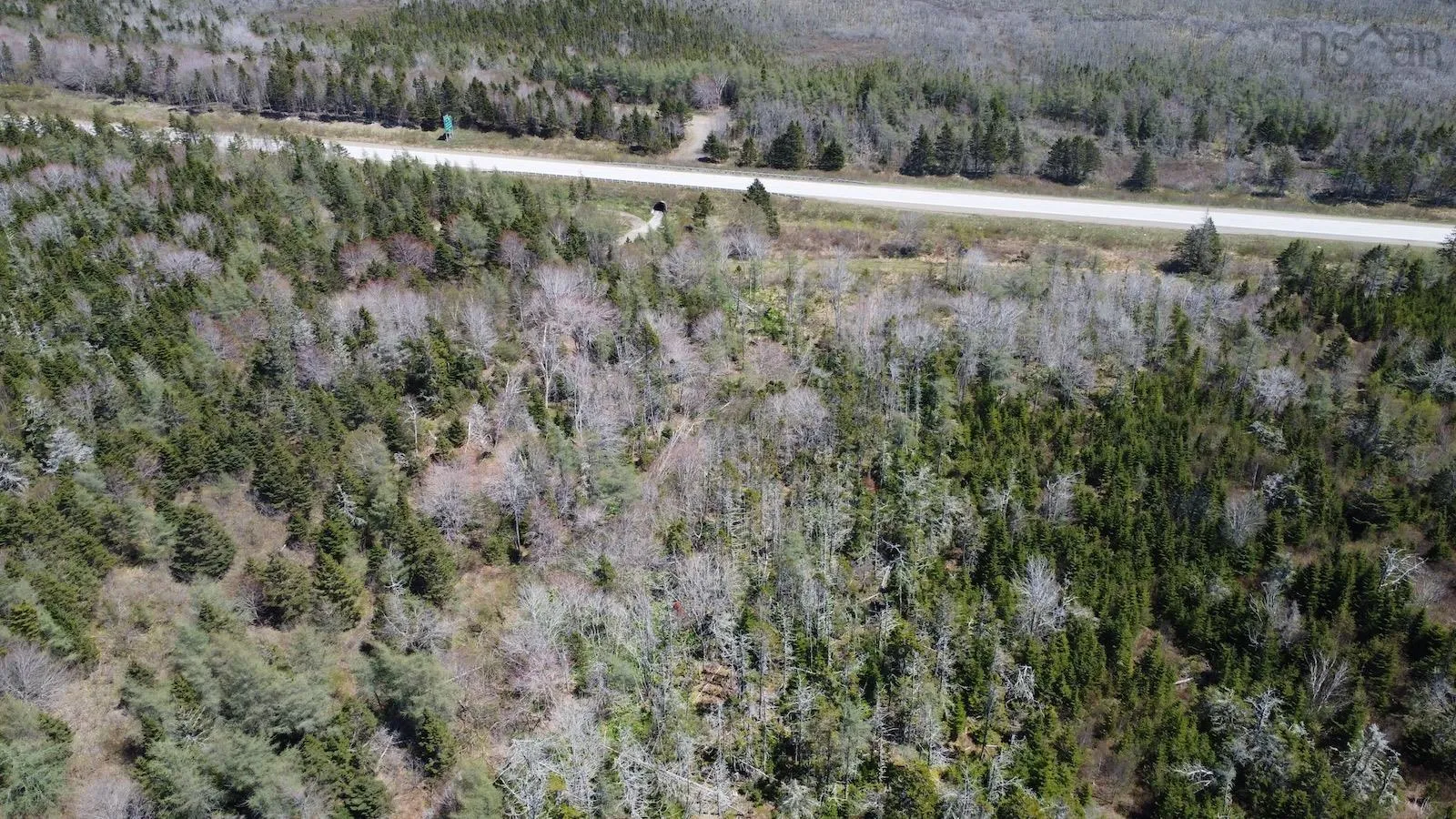 Lot 1 Highway, Woodvale, NS B5A 5B1, ,Land,For Sale,1,202511017