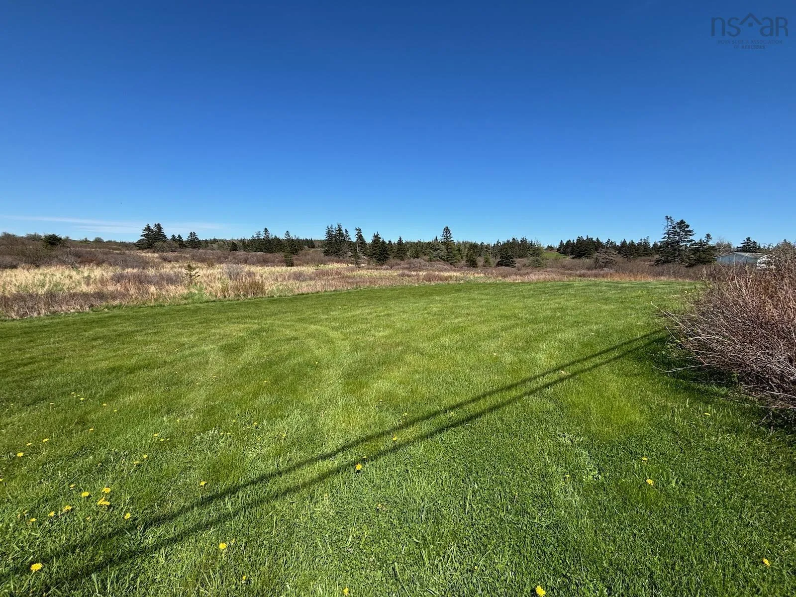 Lot 1 Highway, Woodvale, NS B5A 5B1, ,Land,For Sale,1,202511017