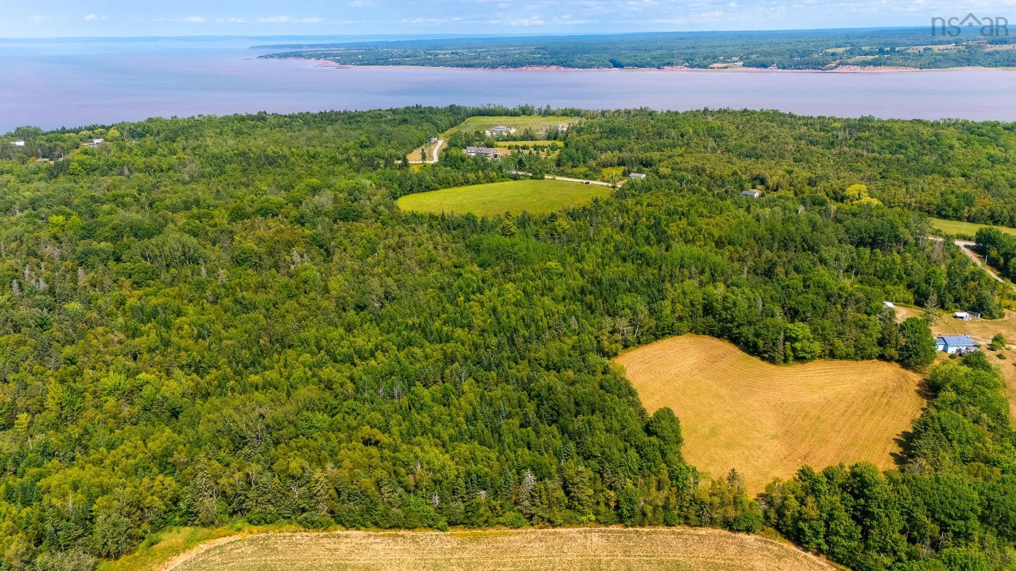Bluff Road, Avonport Station, NS B0P 1P0, ,Land,For Sale,Bluff,202520676