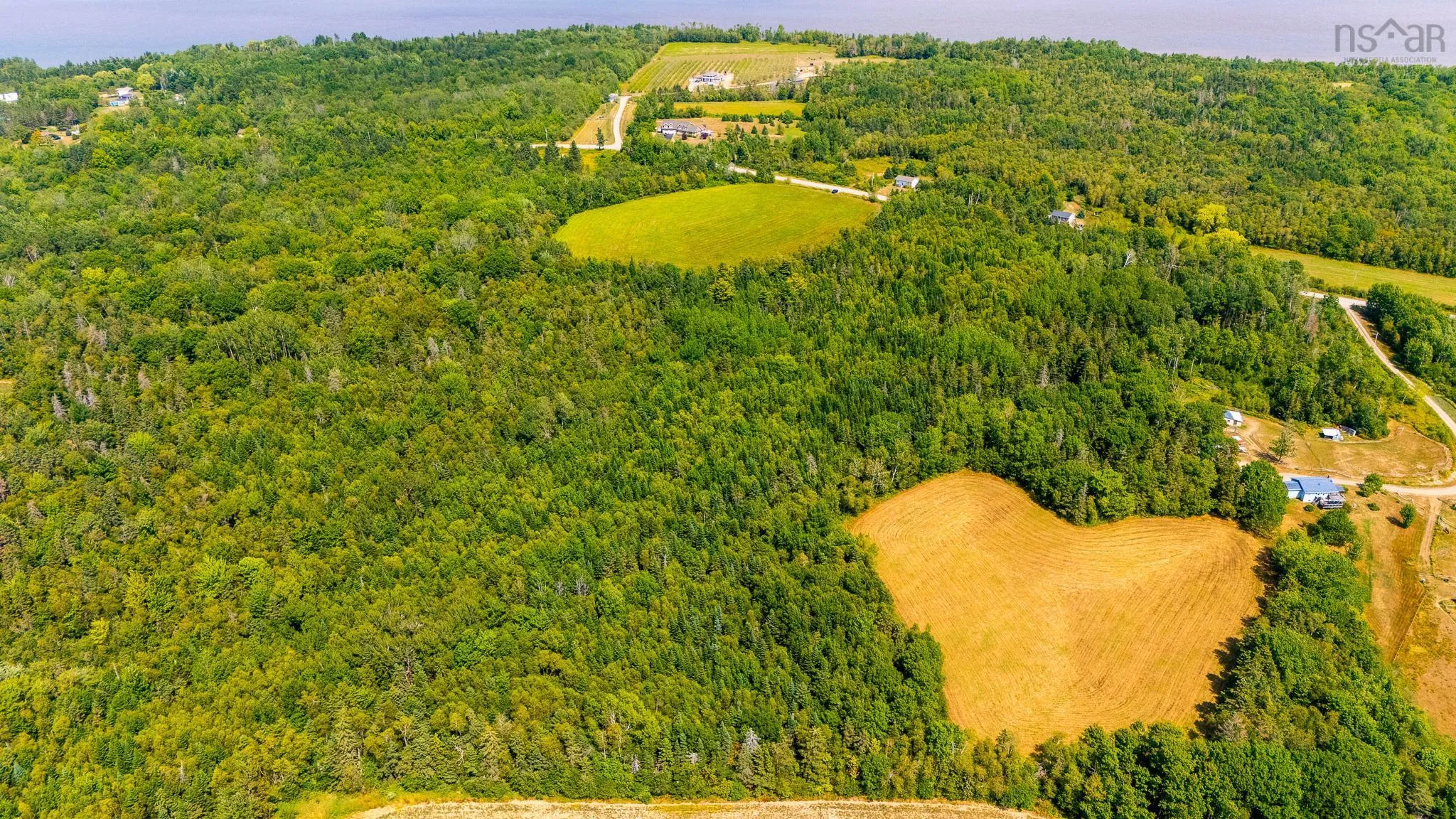 Bluff Road, Avonport Station, NS B0P 1P0, ,Land,For Sale,Bluff,202520676