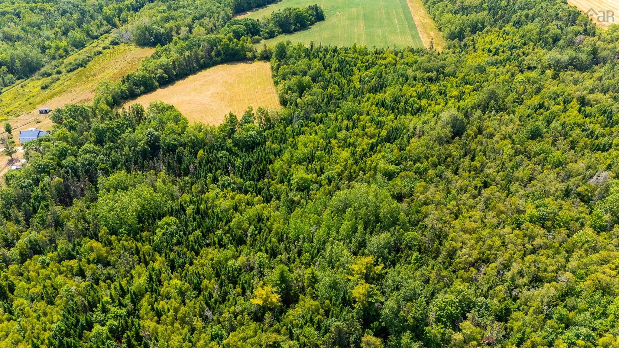 Bluff Road, Avonport Station, NS B0P 1P0, ,Land,For Sale,Bluff,202520676