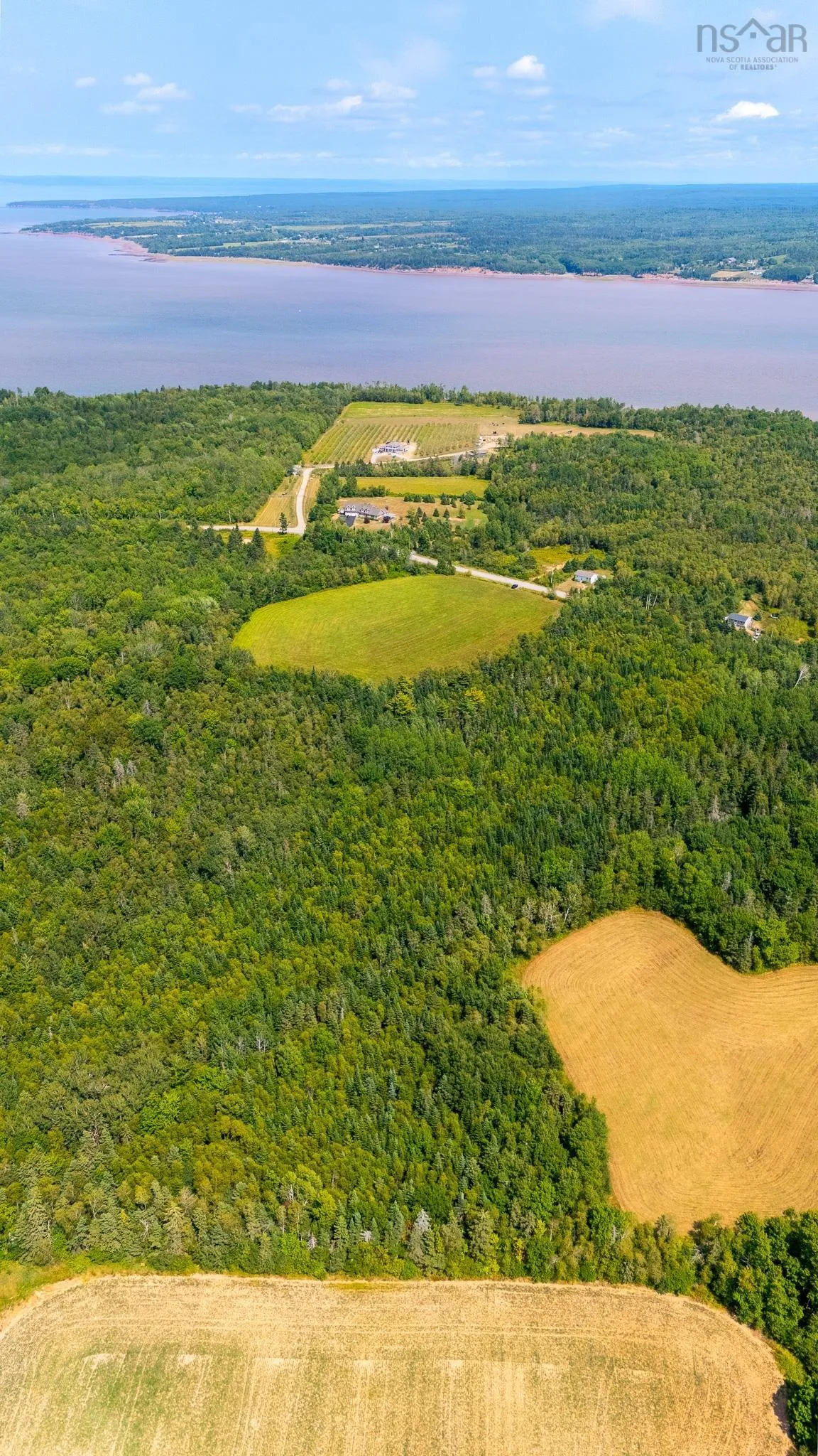 Bluff Road, Avonport Station, NS B0P 1P0, ,Land,For Sale,Bluff,202520676