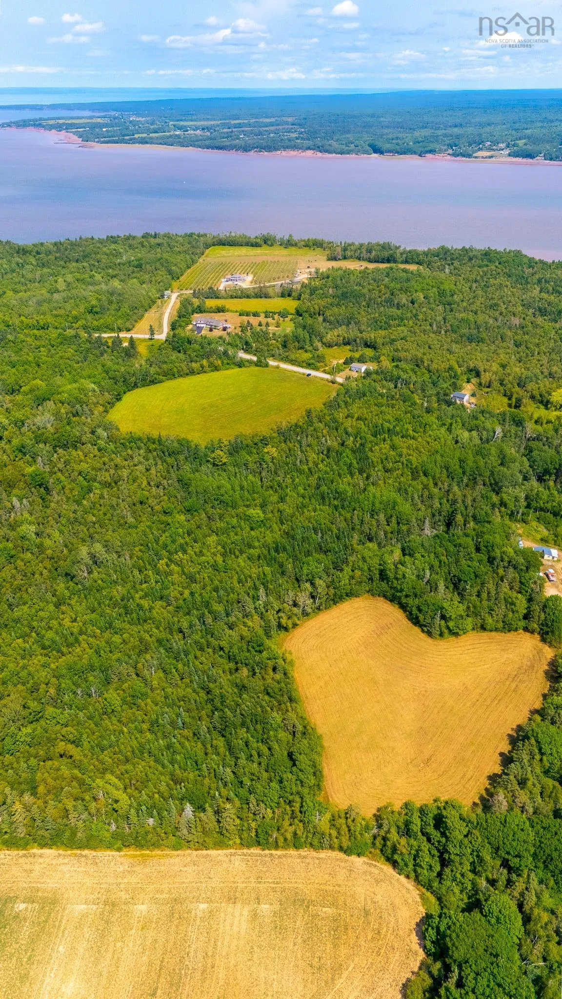 Bluff Road, Avonport Station, NS B0P 1P0, ,Land,For Sale,Bluff,202520676