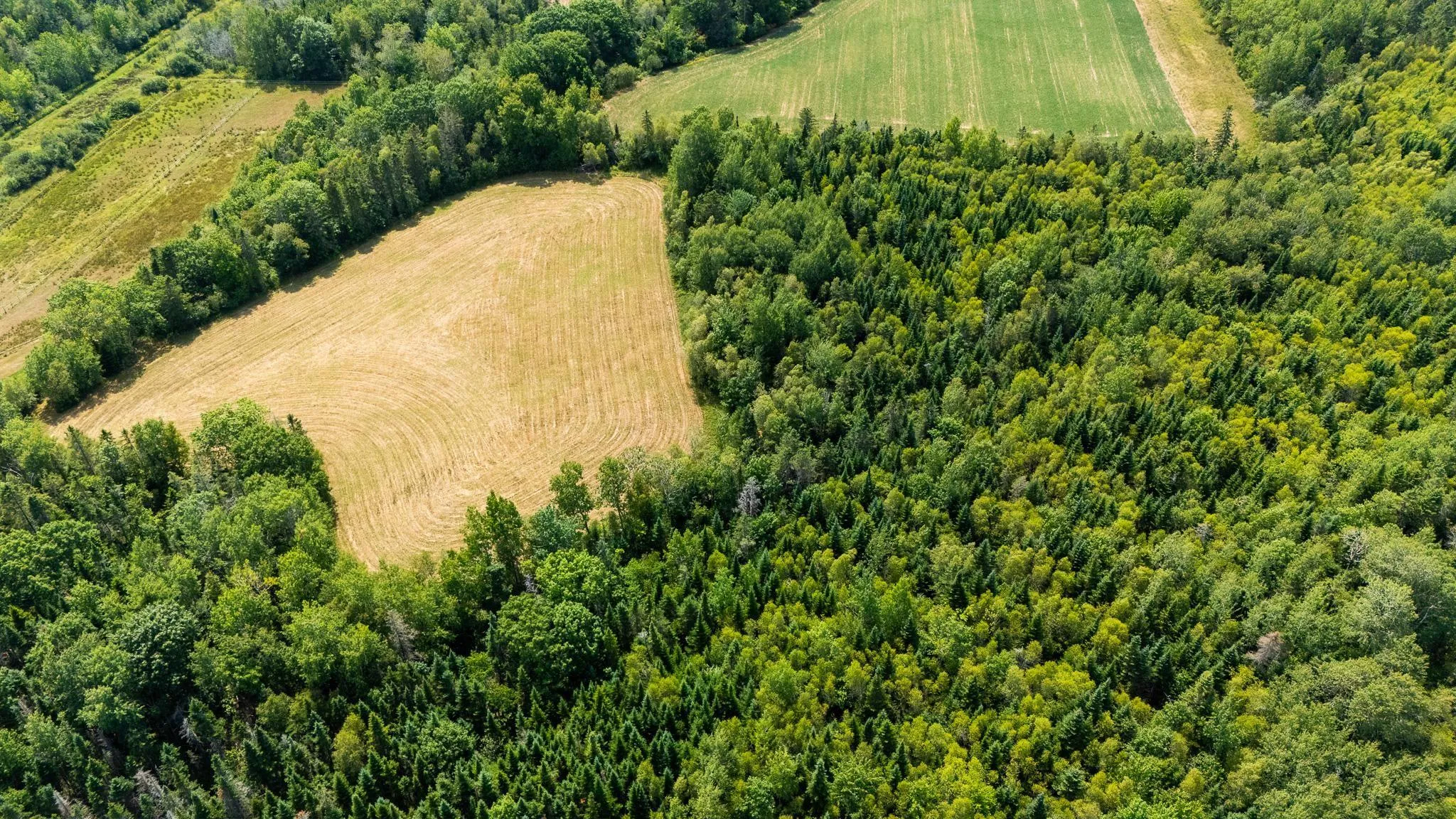 Bluff Road, Avonport Station, NS B0P 1P0, ,Land,For Sale,Bluff,202520676