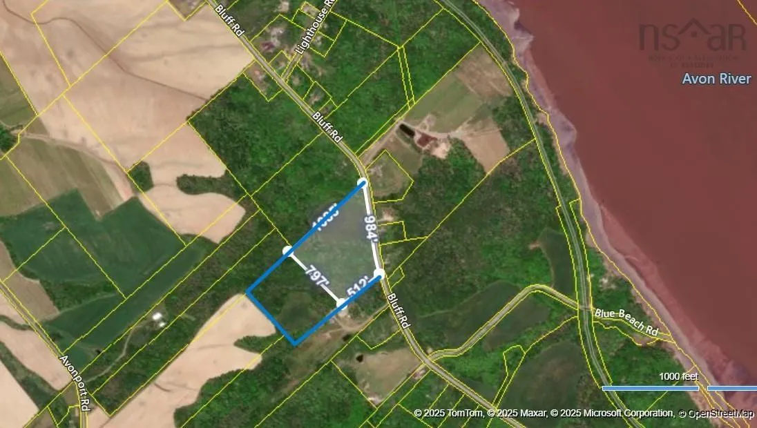 Bluff Road, Avonport Station, NS B0P 1P0, ,Land,For Sale,Bluff,202520676