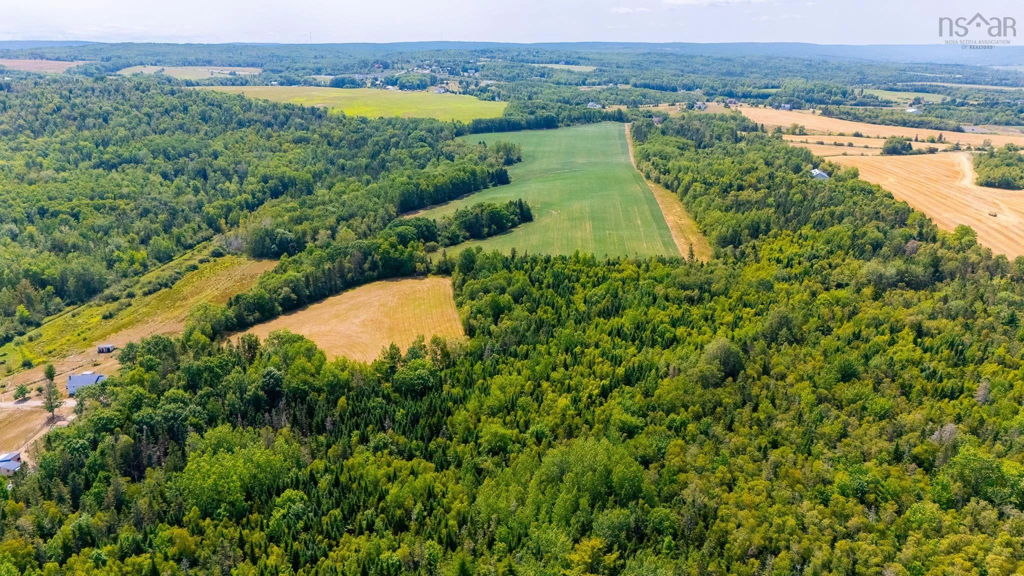 Bluff Road, Avonport Station, NS B0P 1P0, ,Land,For Sale,Bluff,202520676