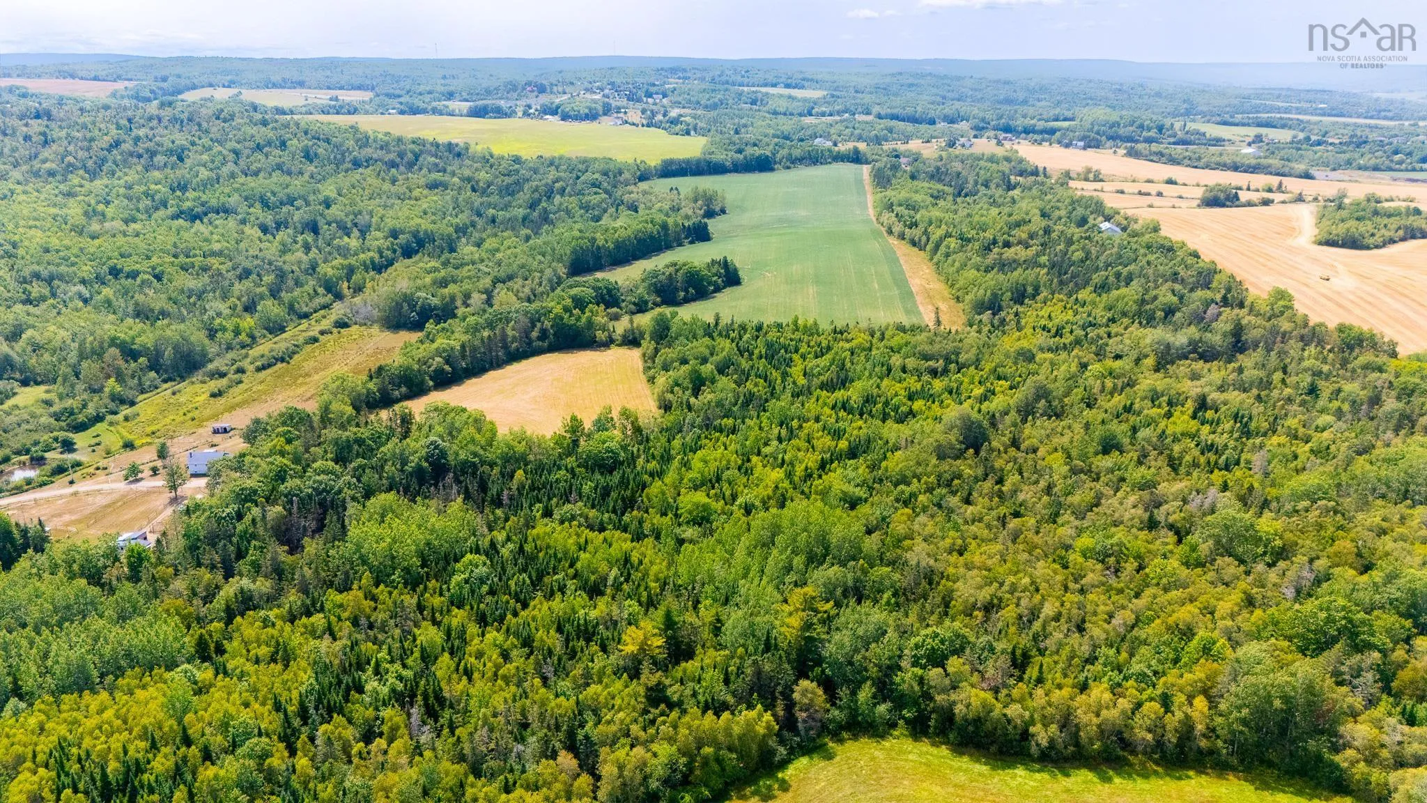 Bluff Road, Avonport Station, NS B0P 1P0, ,Land,For Sale,Bluff,202520676