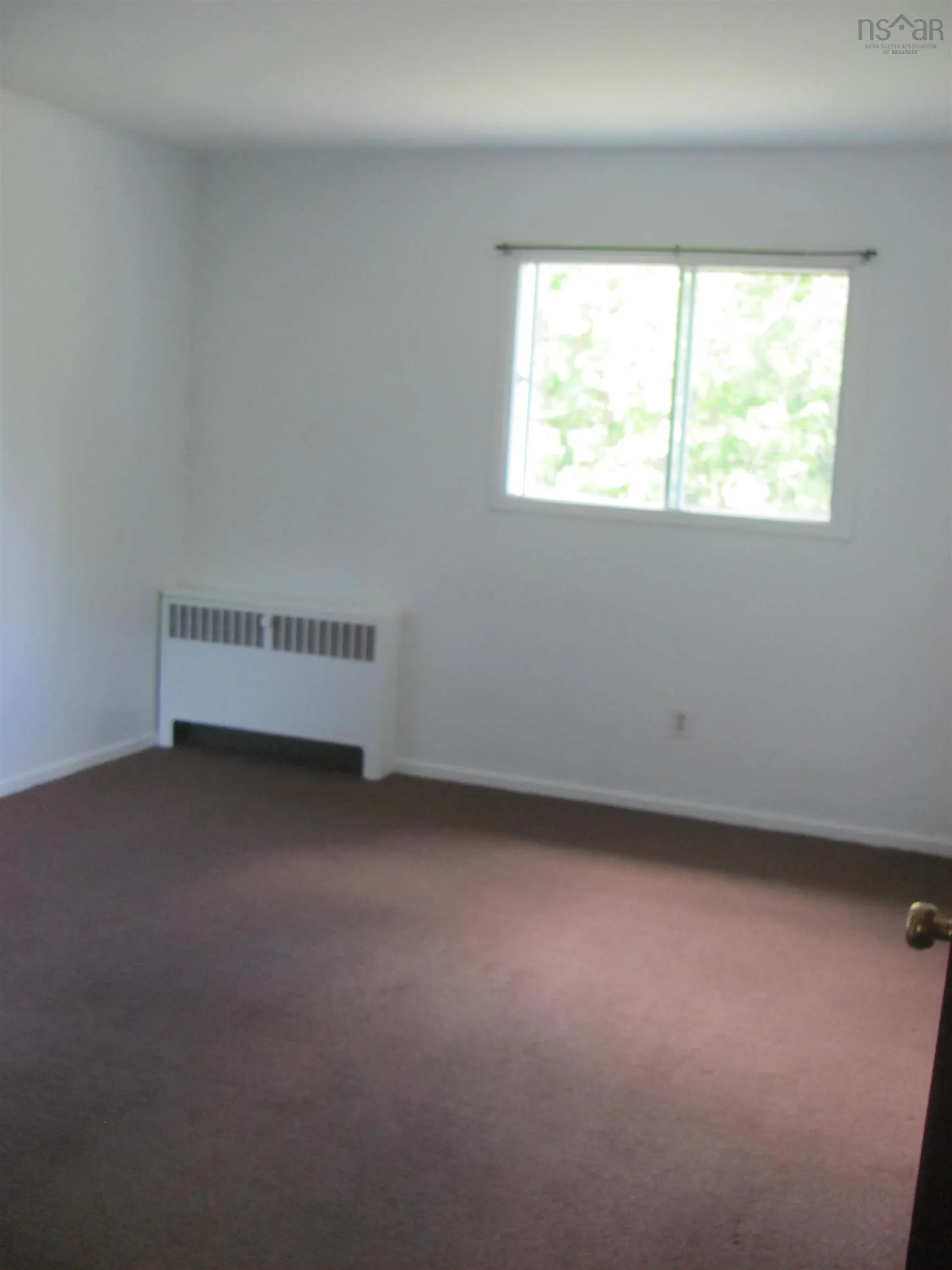 993 King Street, Windsor Ns B0n 2t0, 24 Bedrooms Bedrooms, ,Residential Income,For Sale,King,202509769