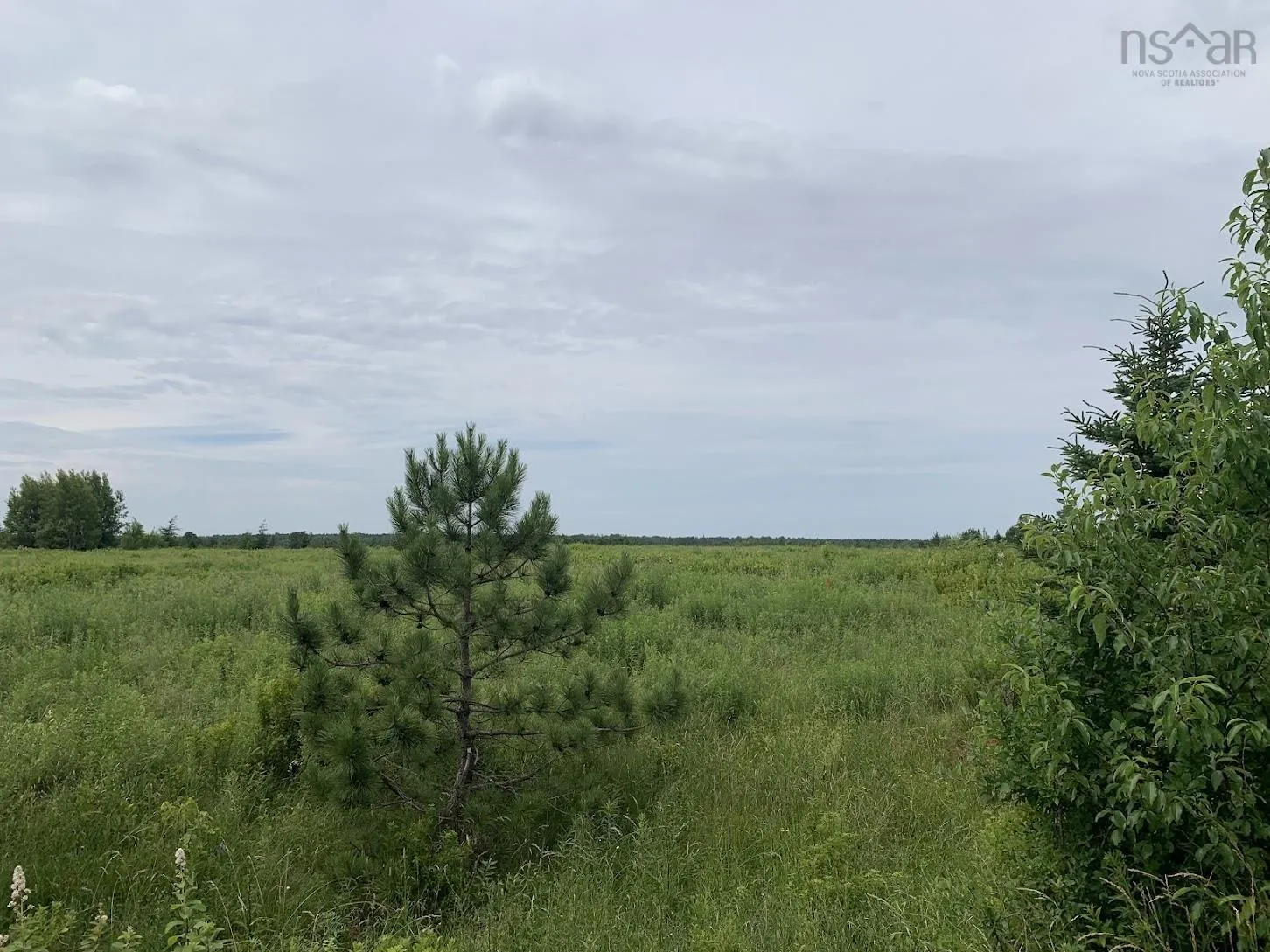 Lot R Hunter Road, West Wentworth, NS B0M 1Z0, ,Land,For Sale,Hunter Road,202517870