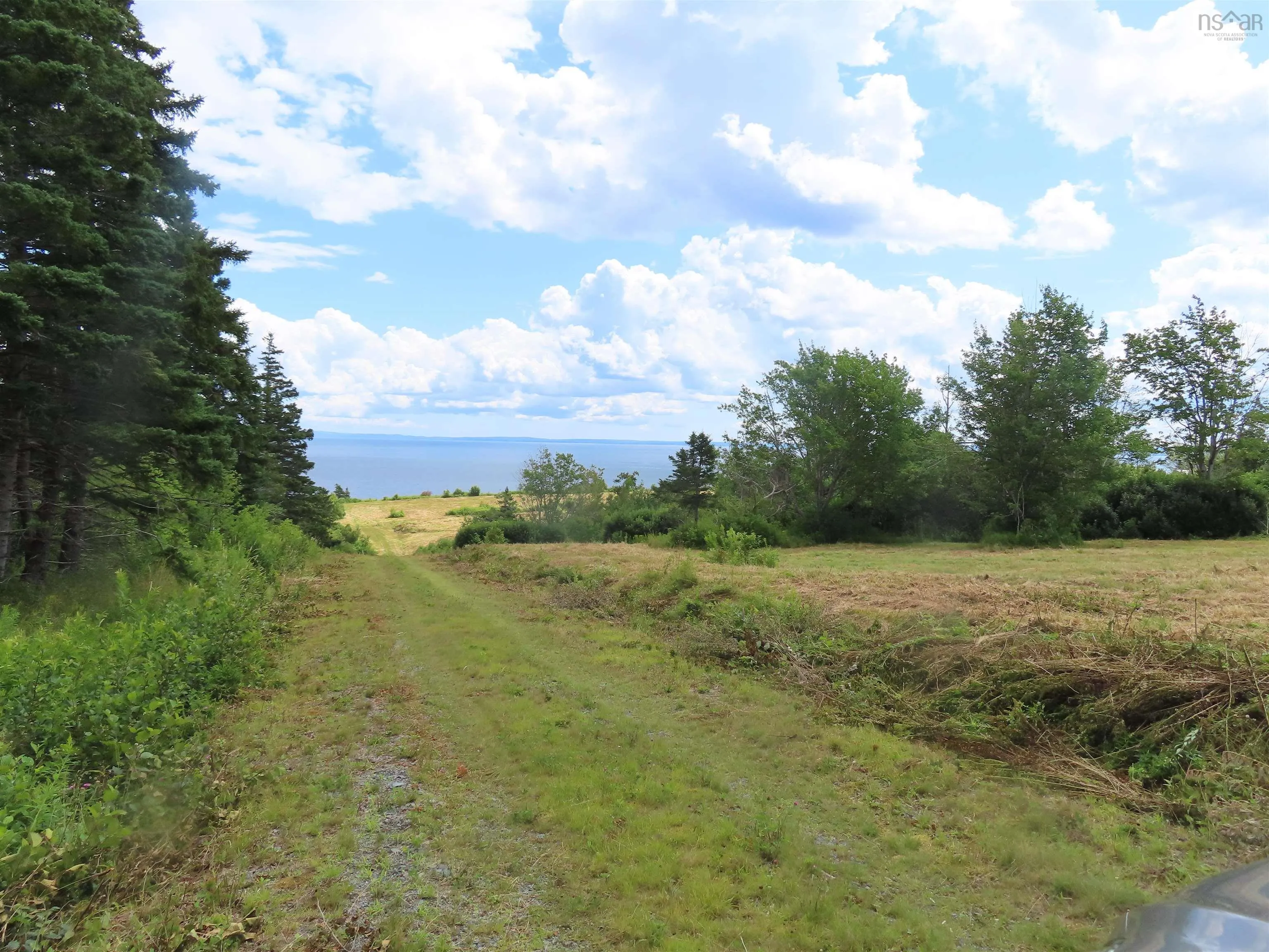 Hwy 337 Morristown, Morristown Ns B2g 2l2, ,Land,For Sale,Hwy 337 Morristown,202315863
