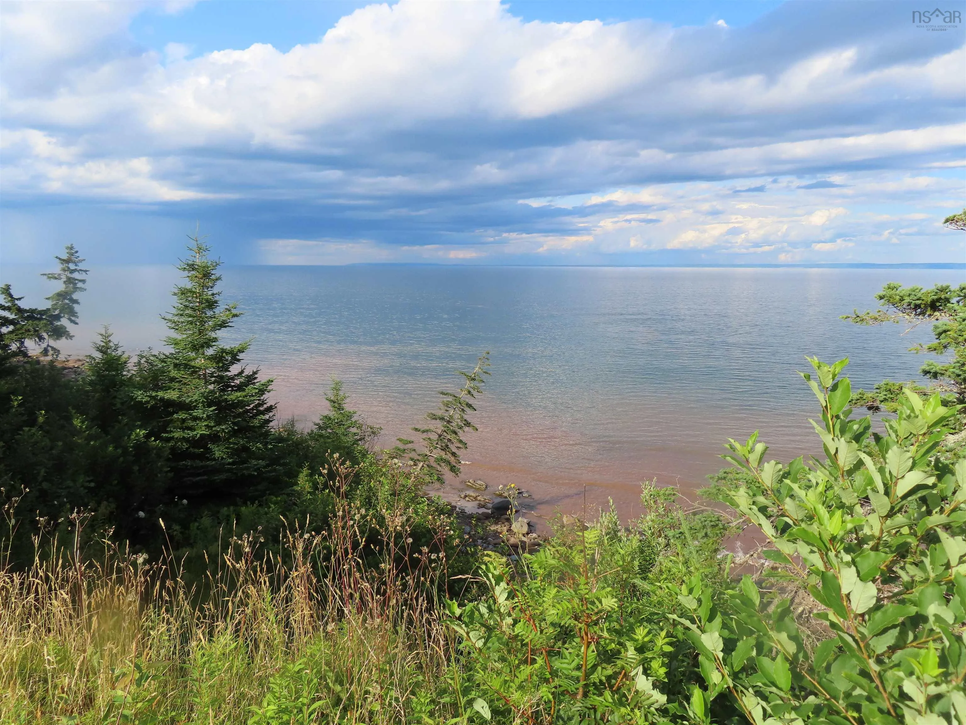 Hwy 337 Morristown, Morristown Ns B2g 2l2, ,Land,For Sale,Hwy 337 Morristown,202315863