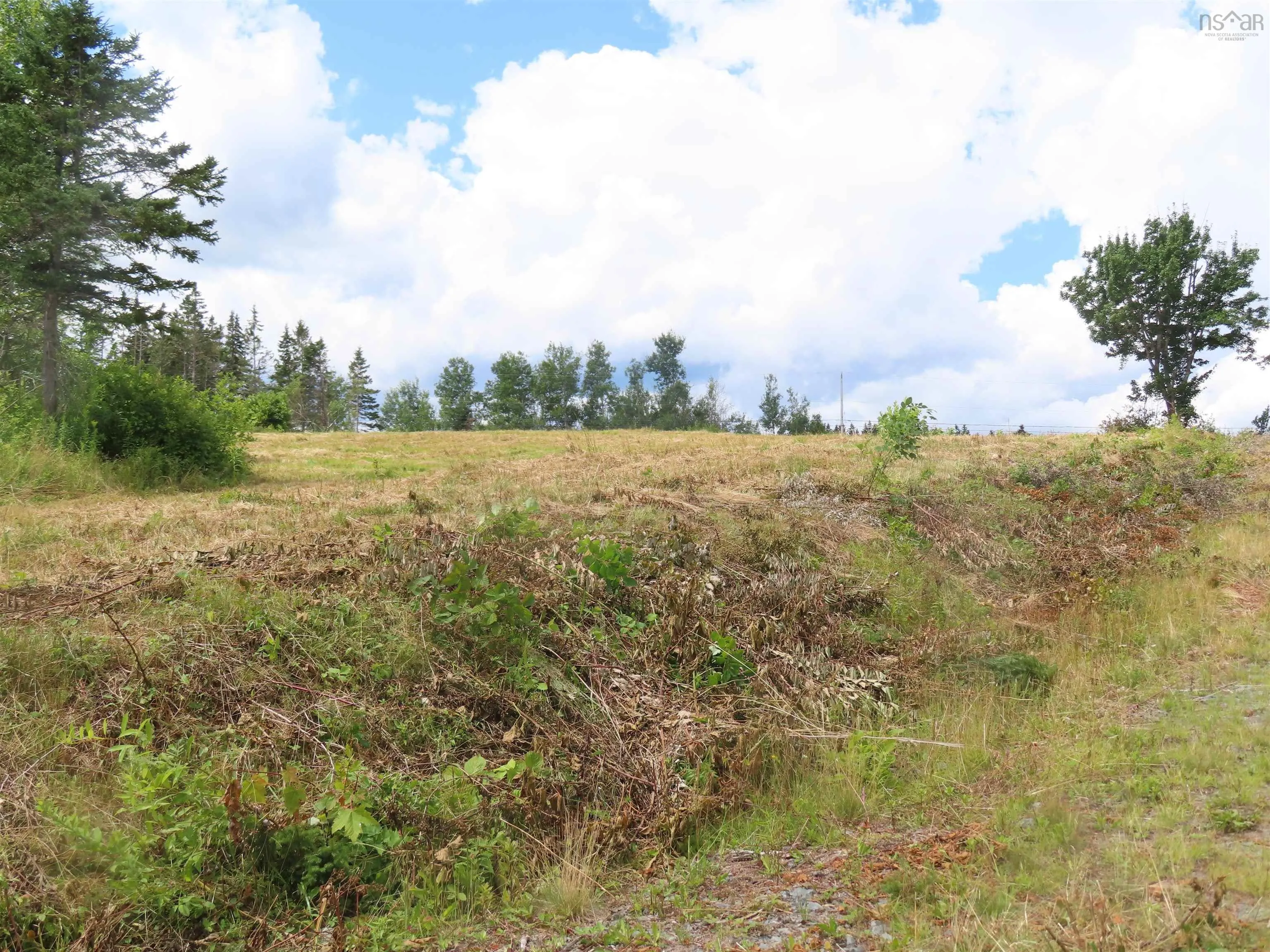 Hwy 337 Morristown, Morristown Ns B2g 2l2, ,Land,For Sale,Hwy 337 Morristown,202315863