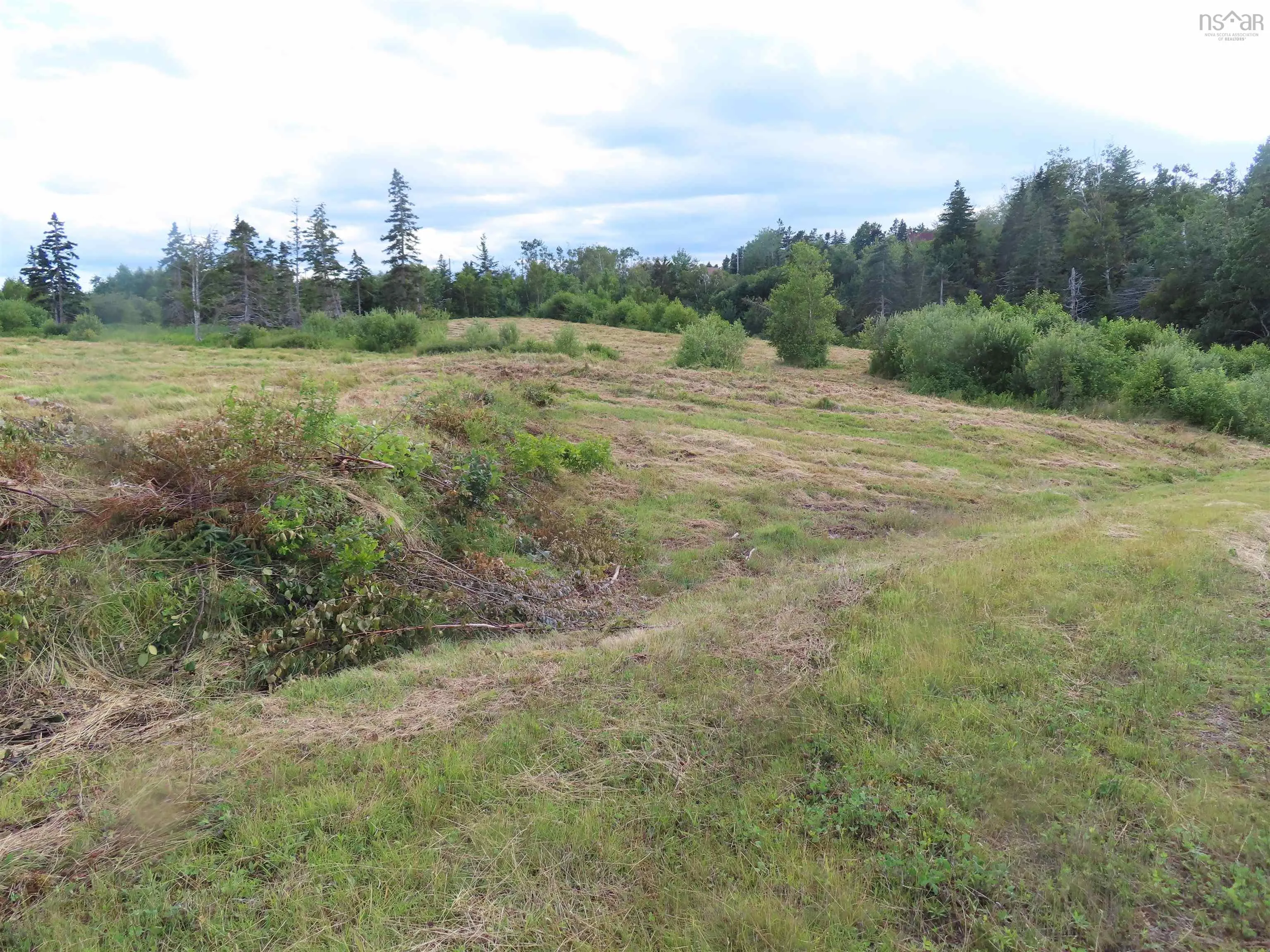 Hwy 337 Morristown, Morristown Ns B2g 2l2, ,Land,For Sale,Hwy 337 Morristown,202315863