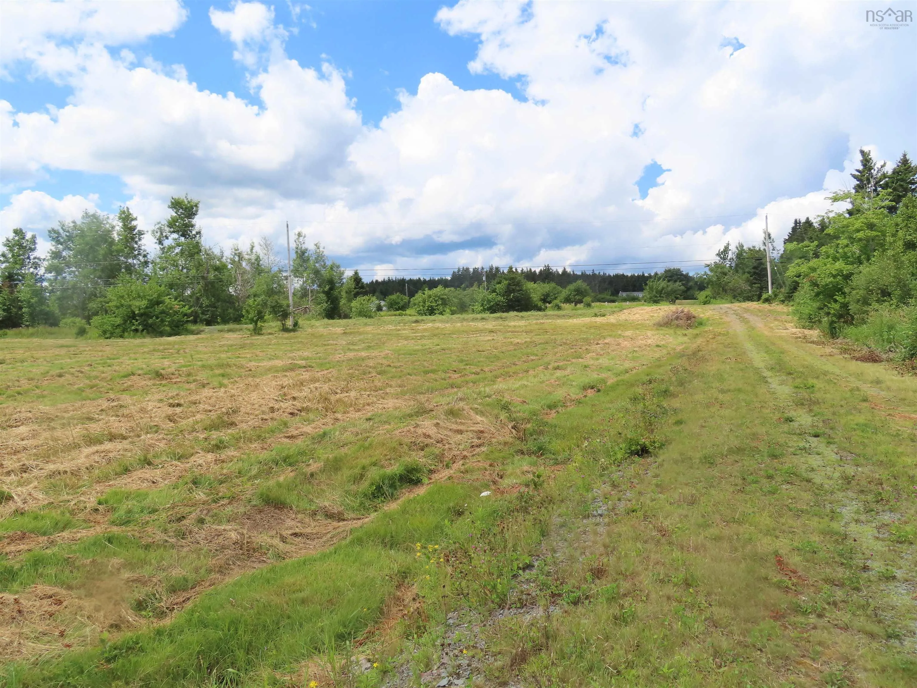 Hwy 337 Morristown, Morristown Ns B2g 2l2, ,Land,For Sale,Hwy 337 Morristown,202315863