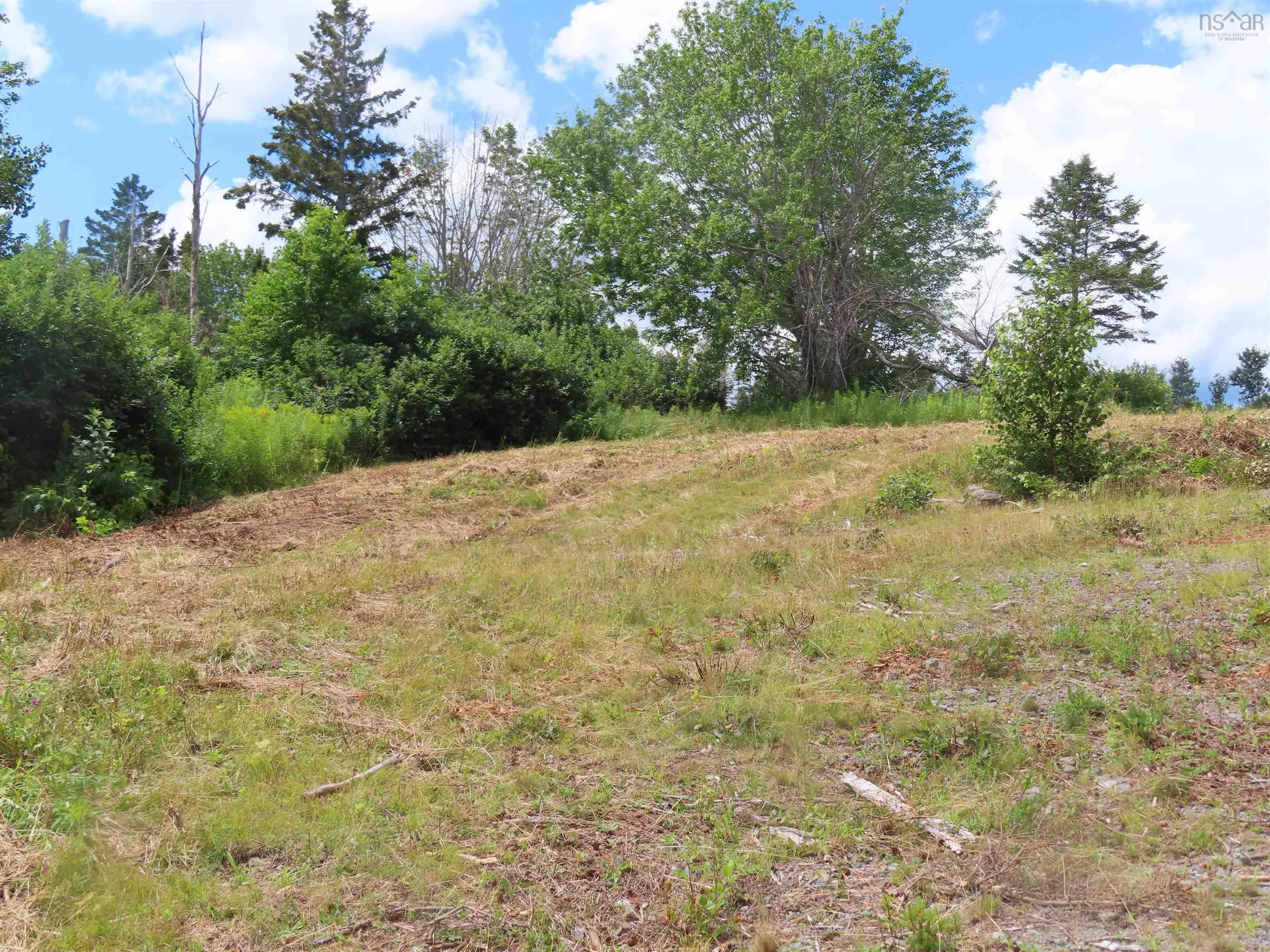 Hwy 337 Morristown, Morristown Ns B2g 2l2, ,Land,For Sale,Hwy 337 Morristown,202315863