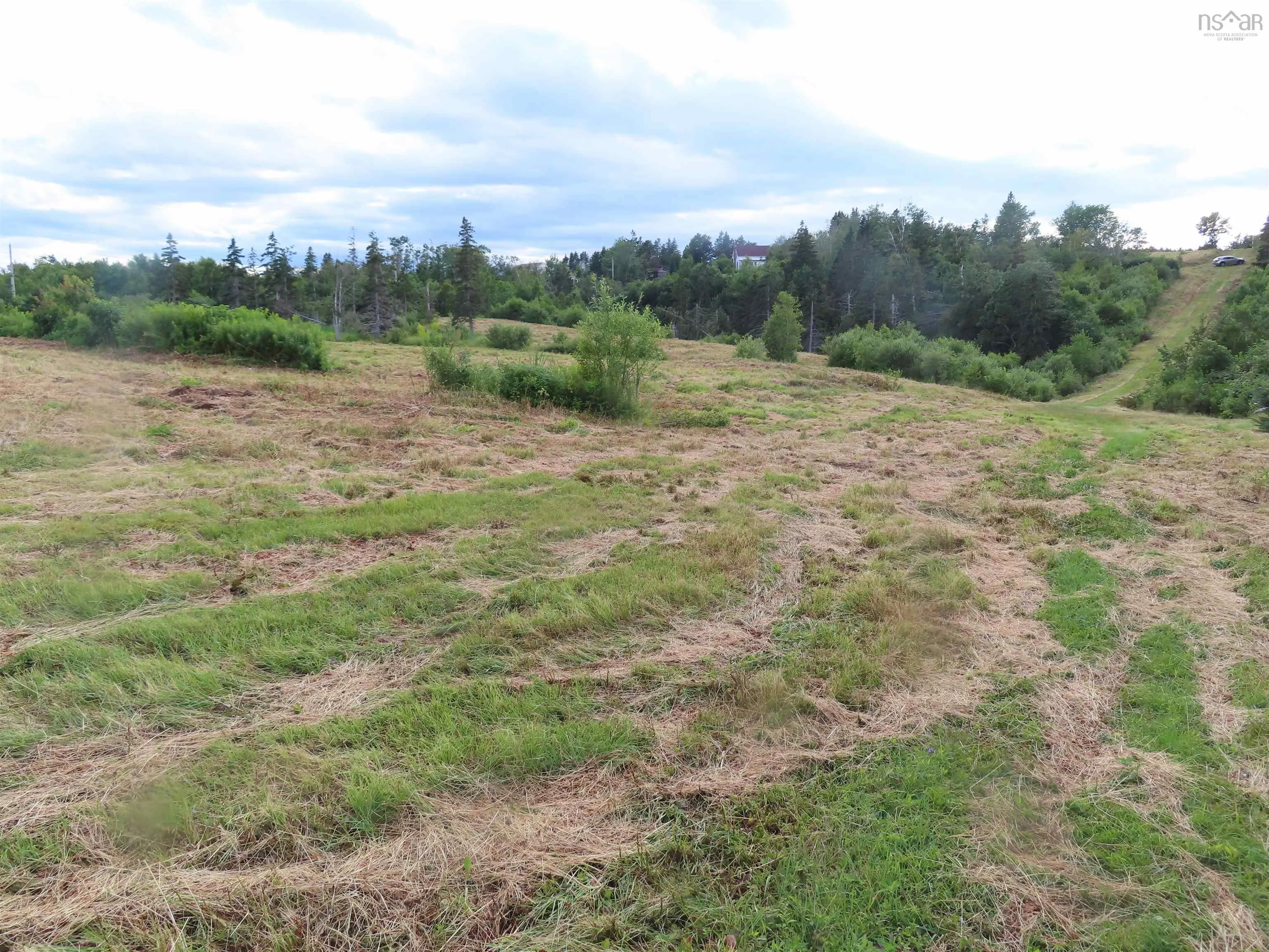 Hwy 337 Morristown, Morristown Ns B2g 2l2, ,Land,For Sale,Hwy 337 Morristown,202315863