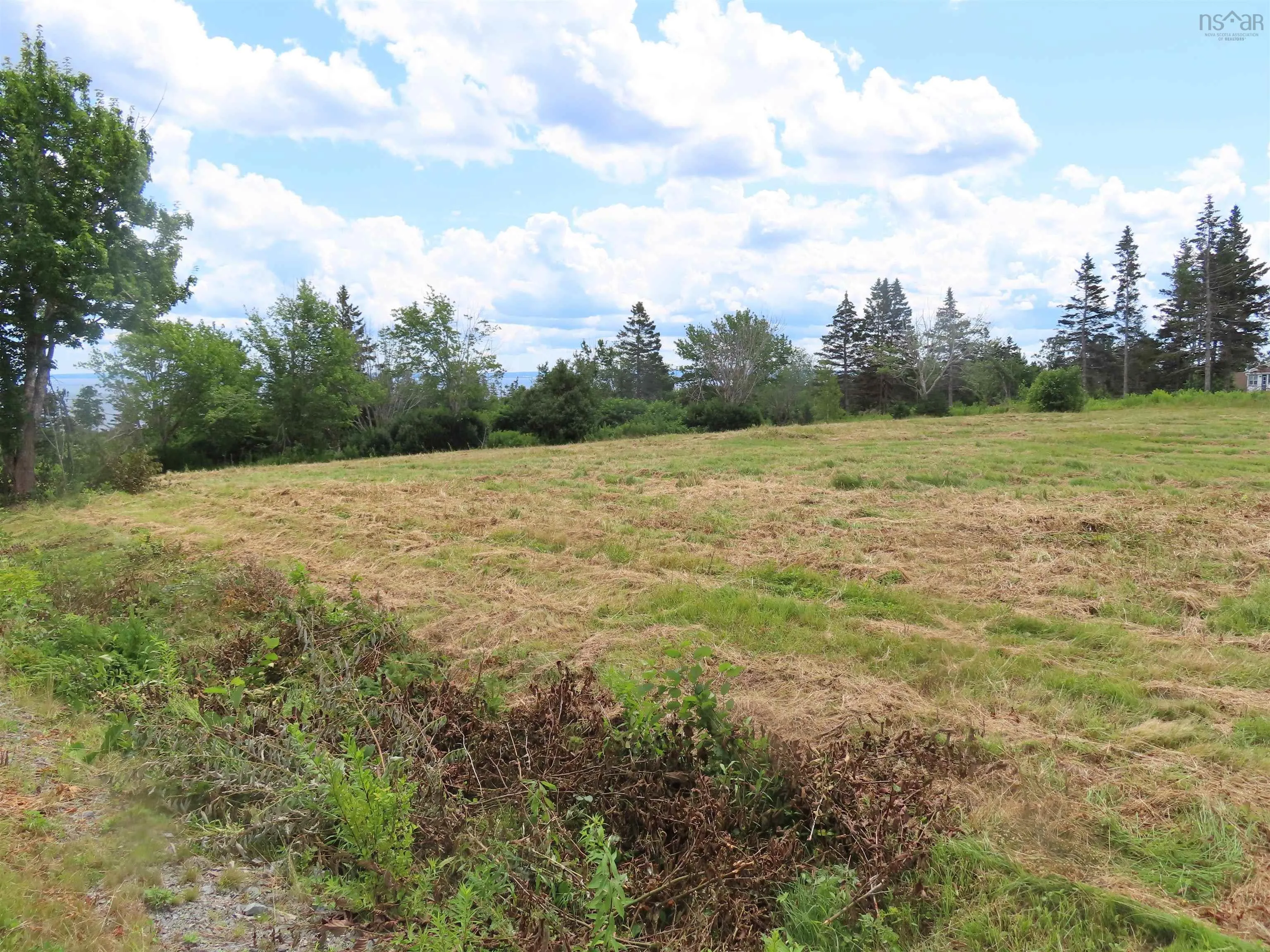 Hwy 337 Morristown, Morristown Ns B2g 2l2, ,Land,For Sale,Hwy 337 Morristown,202315863